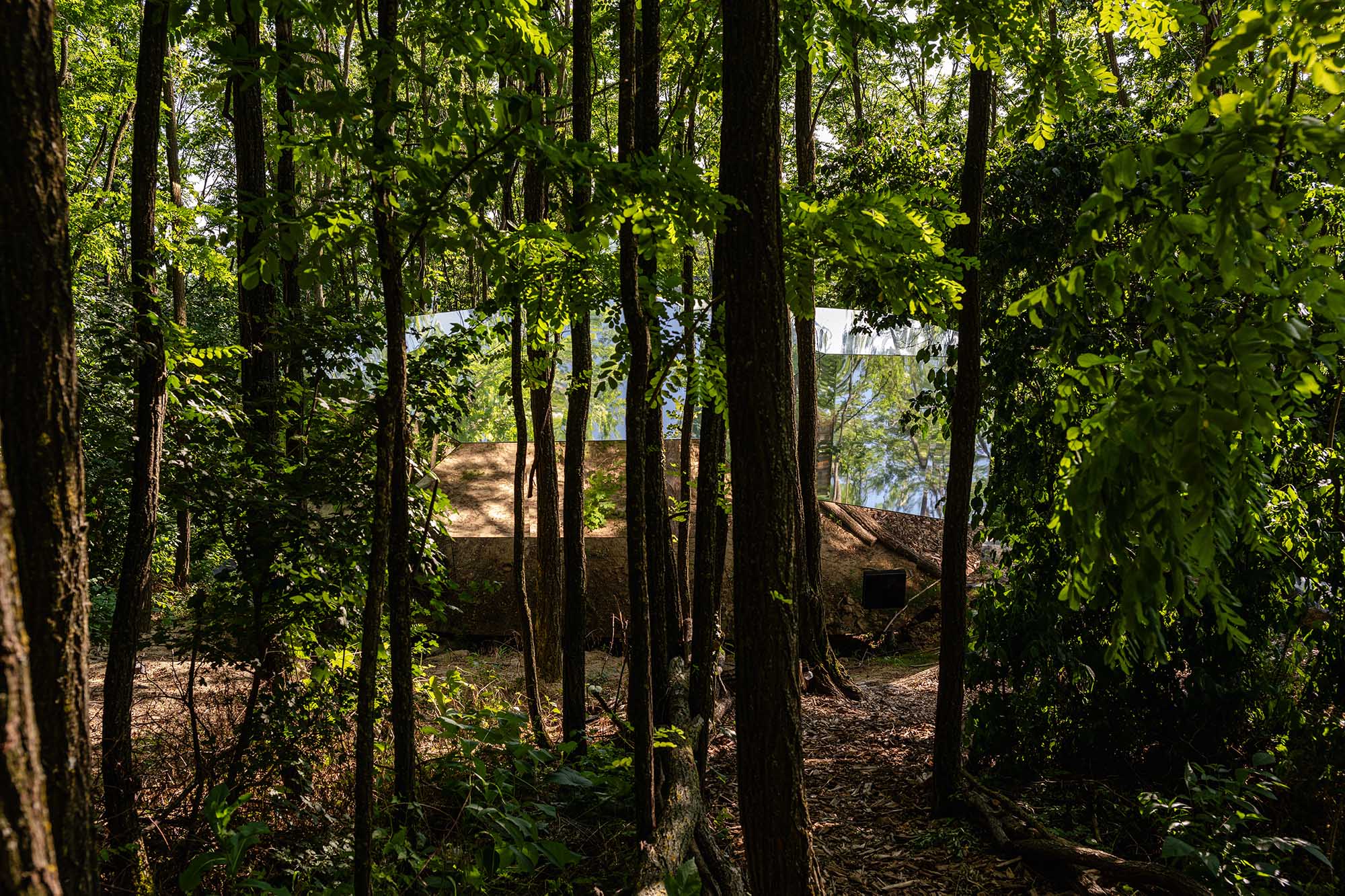 〈PEBL Grand〉Hello Wood