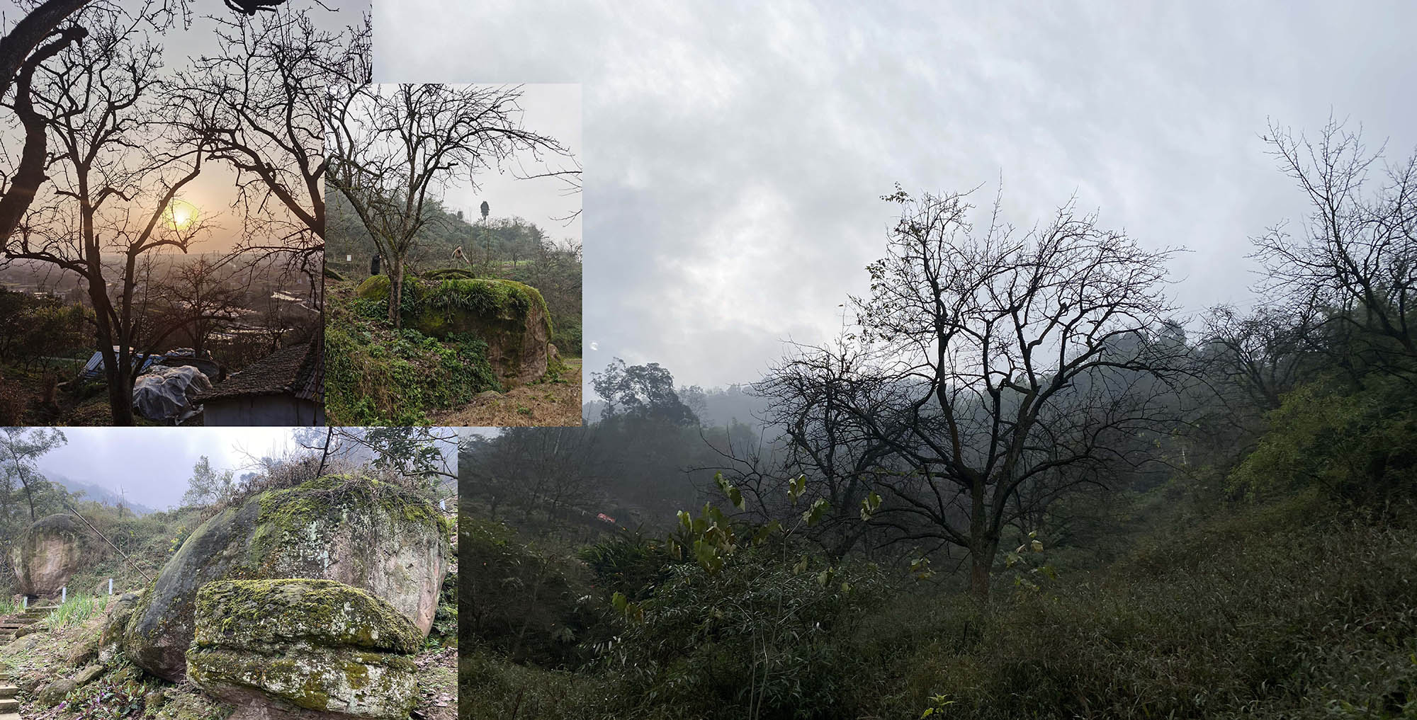 〈Buzzy Sunny - 渓谷の石窯（Buzzy Sunny · The Stone Kiln in the Valley）〉Archermit