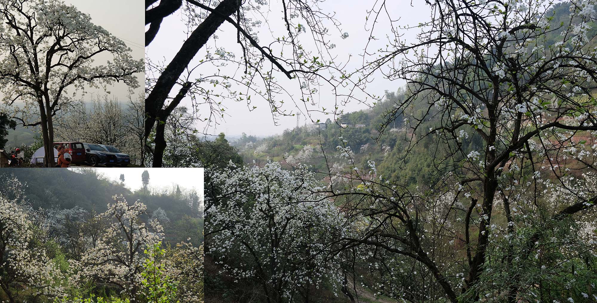 〈Buzzy Sunny - 渓谷の石窯（Buzzy Sunny · The Stone Kiln in the Valley）〉Archermit