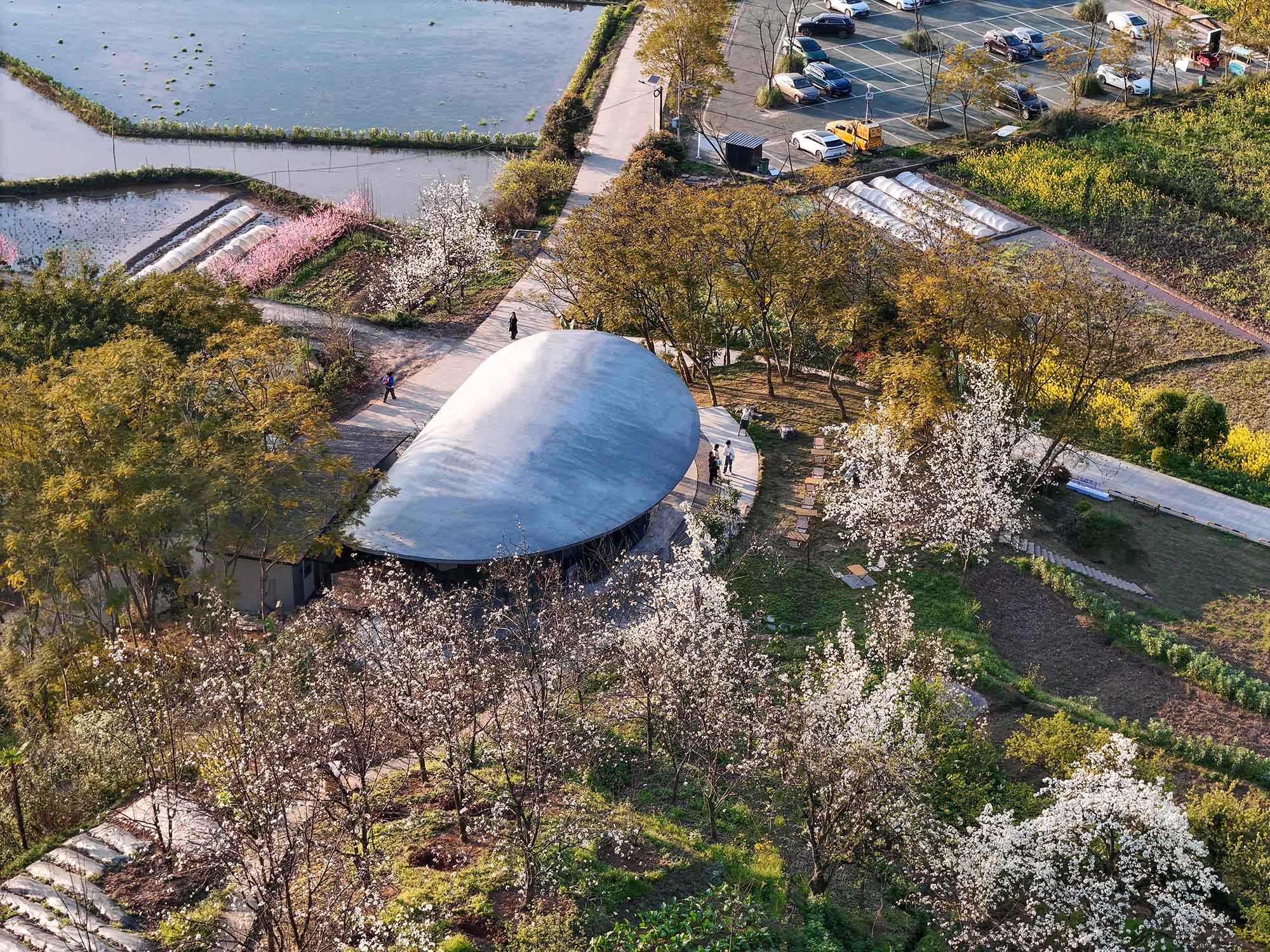 〈Buzzy Sunny - 渓谷の石窯（Buzzy Sunny · The Stone Kiln in the Valley）〉Archermit