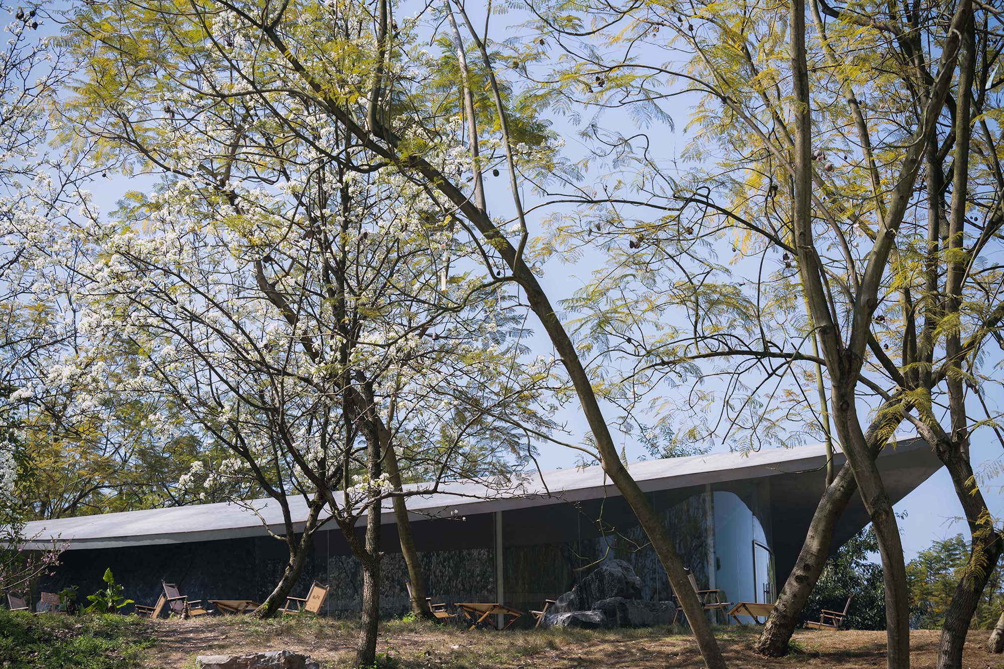 〈Buzzy Sunny - 渓谷の石窯（Buzzy Sunny · The Stone Kiln in the Valley）〉Archermit