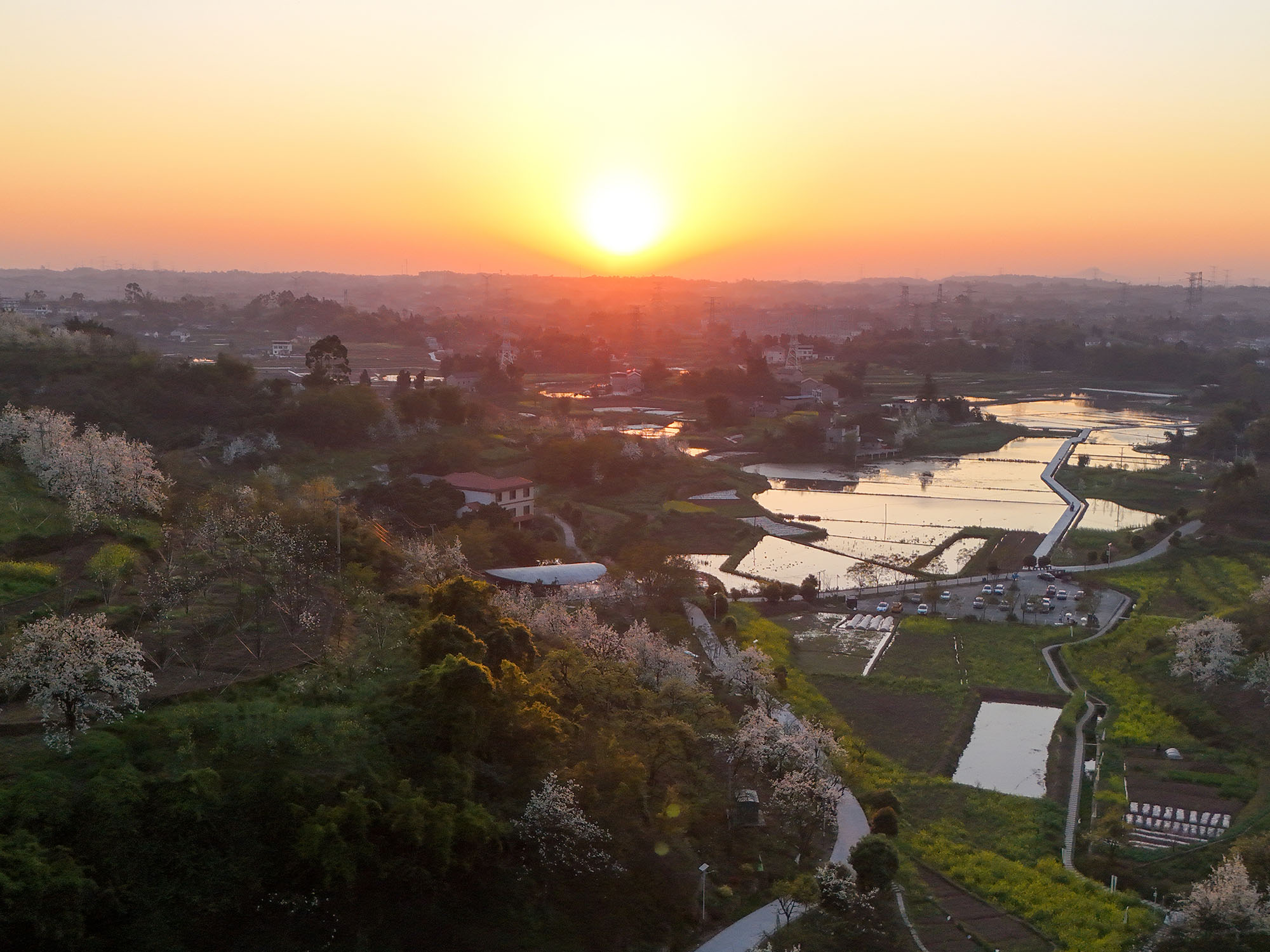 〈Buzzy Sunny - 渓谷の石窯（Buzzy Sunny · The Stone Kiln in the Valley）〉Archermit