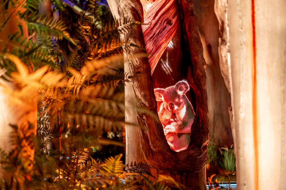 オーストラリアパビリオン