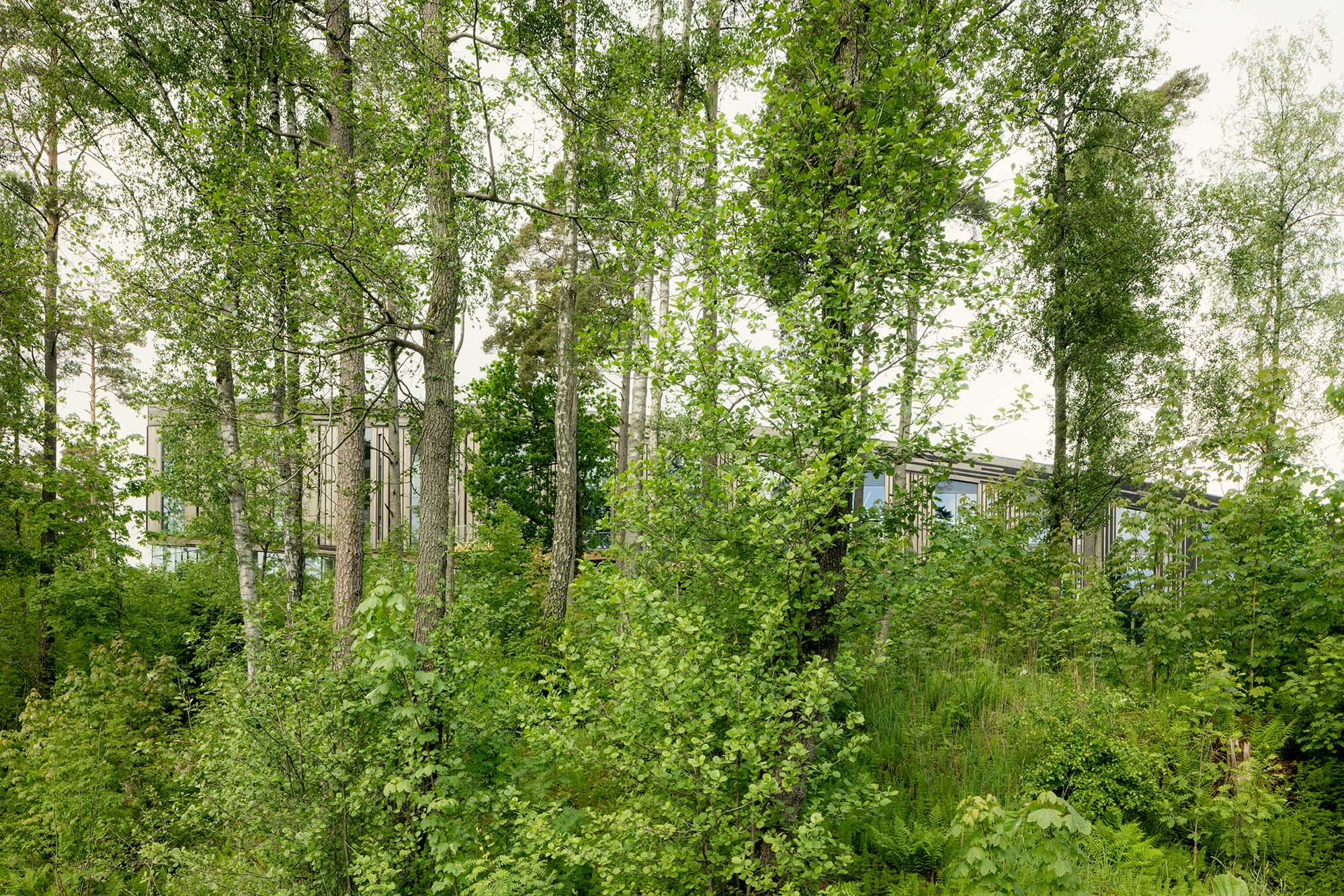 〈レイクハウス・ヴェンデルストランド(Lakehouse Wendelstrand)〉スノヘッタ(Snøhetta)