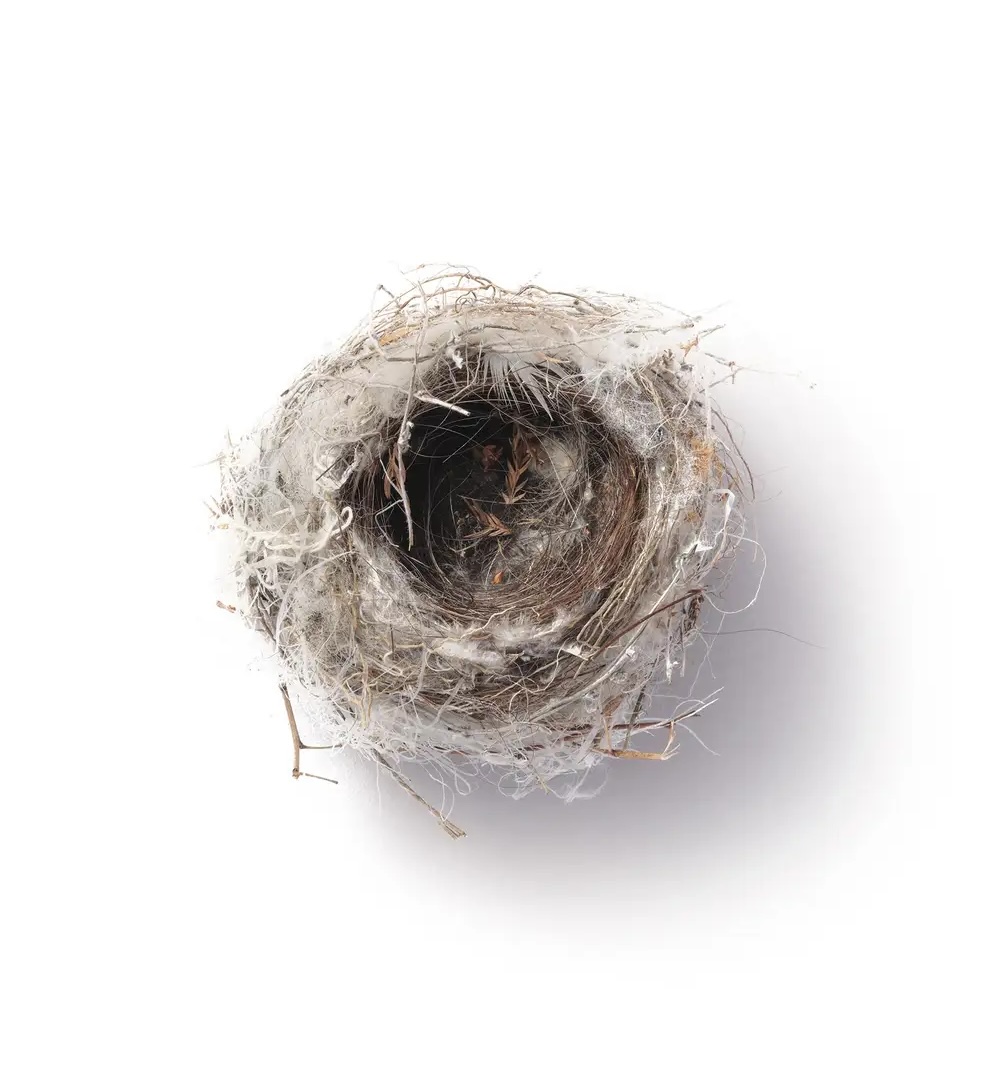 日本デザインコミッショナー主催 / 松屋銀座開店100周年企画「Tsu-tsu-mu展 世界をやさしく繋ぐデザインの作法」