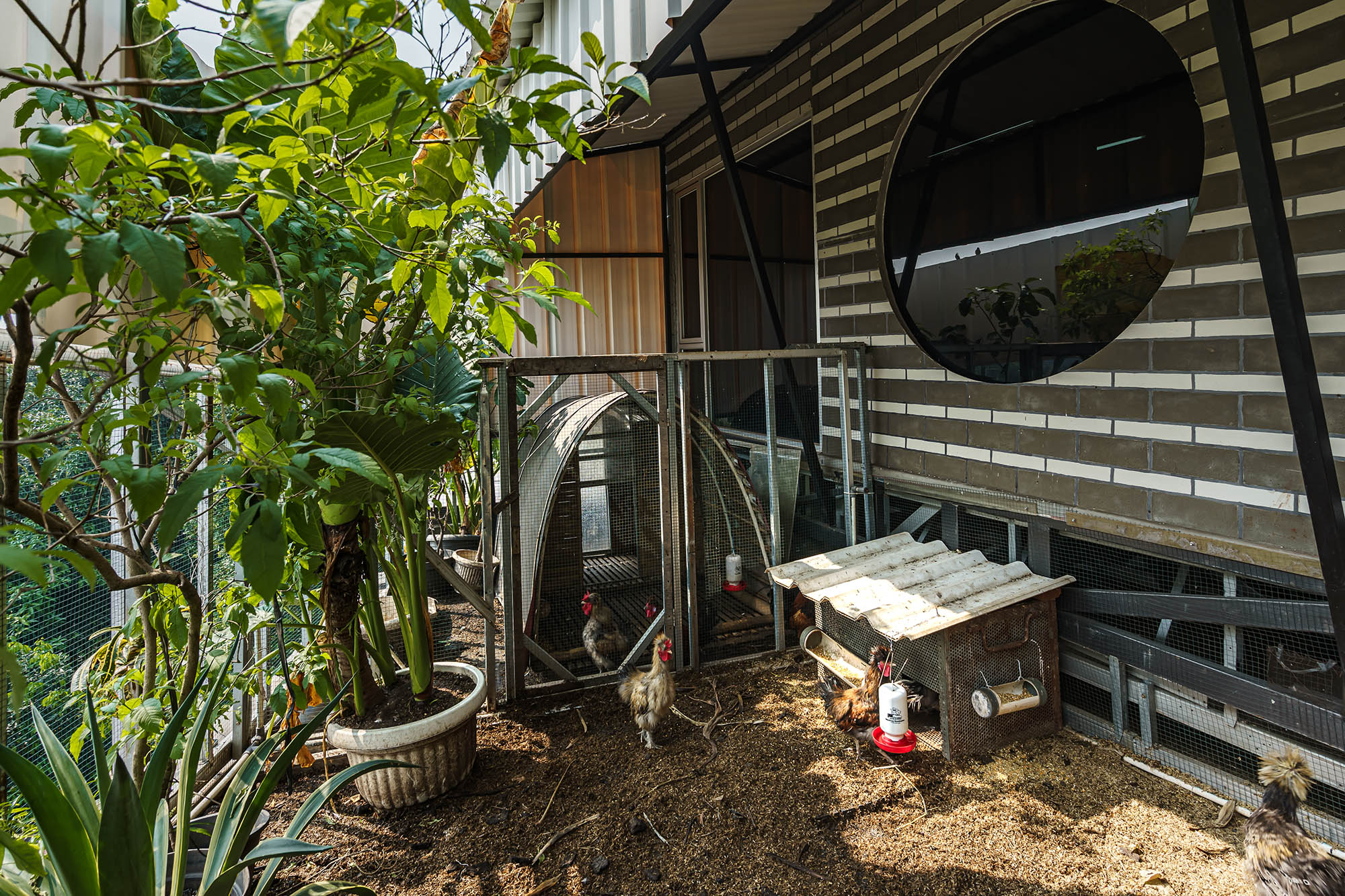 〈Kampoong Guha〉RAW（Realrich Architecture Workshop）