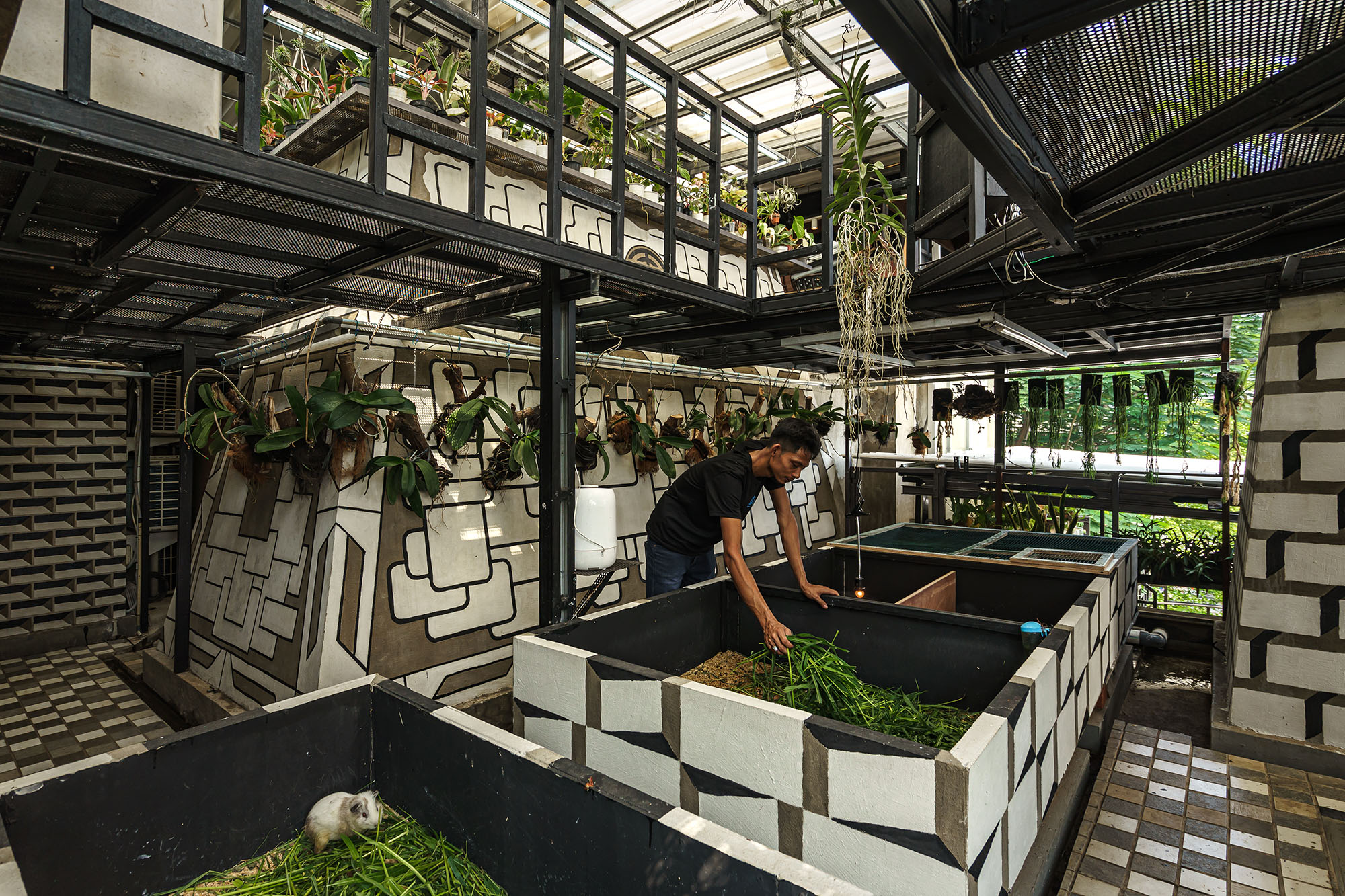 〈Kampoong Guha〉RAW（Realrich Architecture Workshop）