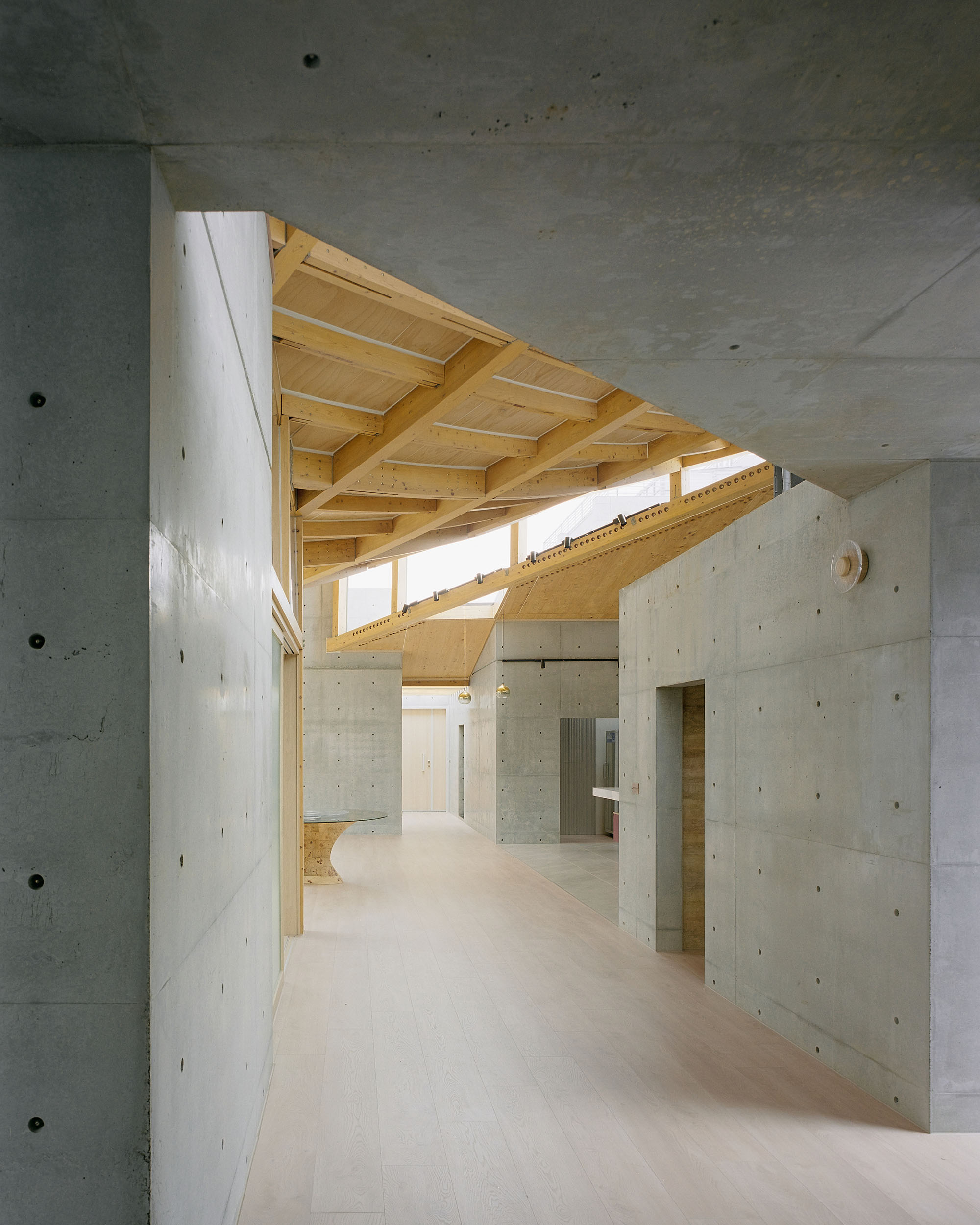 〈Our Forest〉CTAA Architects Lab