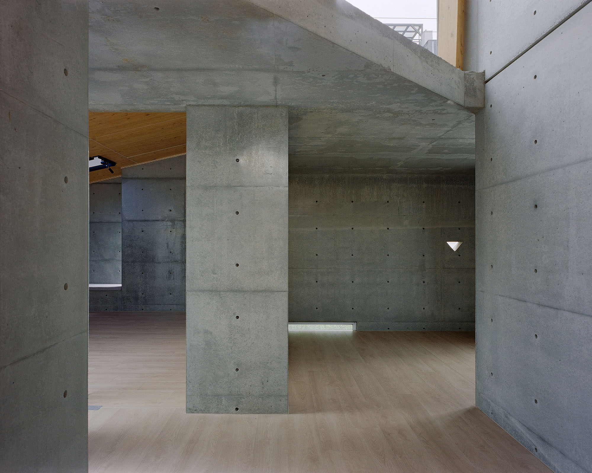 〈Our Forest〉CTAA Architects Lab