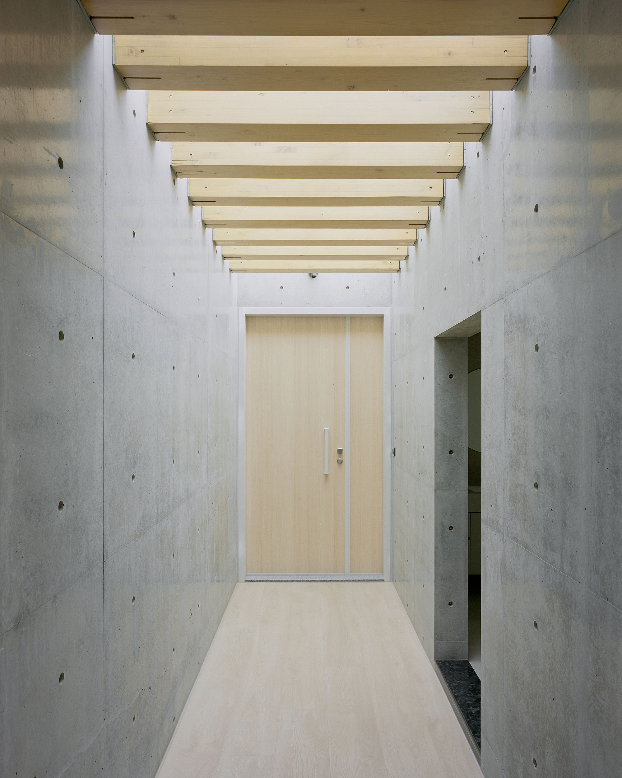 〈Our Forest〉CTAA Architects Lab