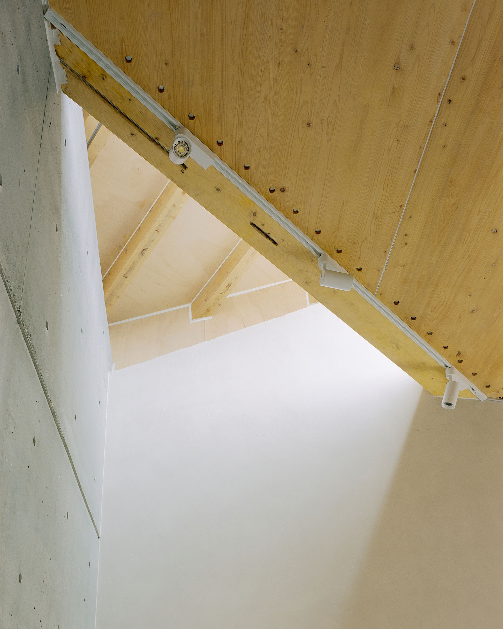 〈Our Forest〉CTAA Architects Lab