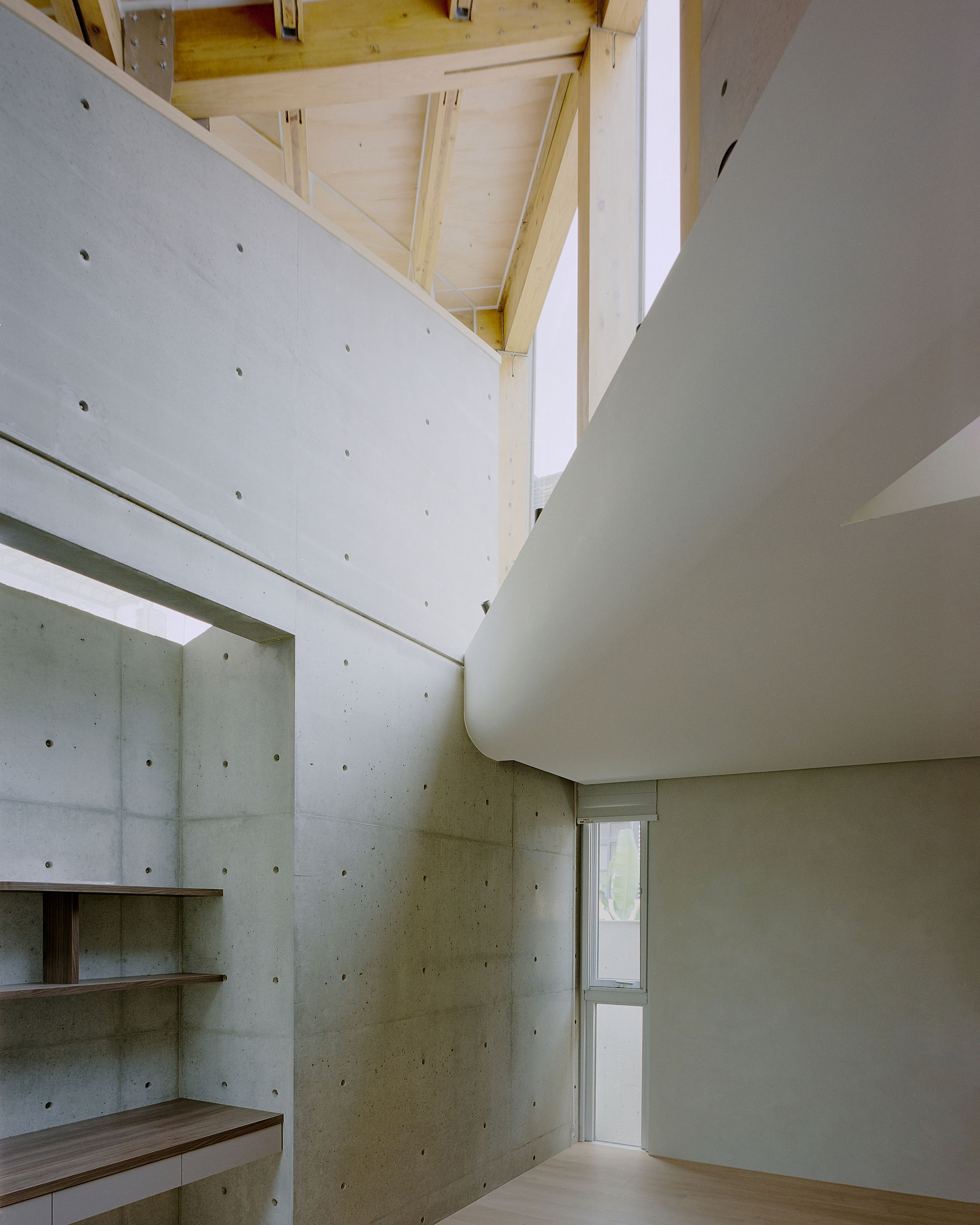 〈Our Forest〉CTAA Architects Lab