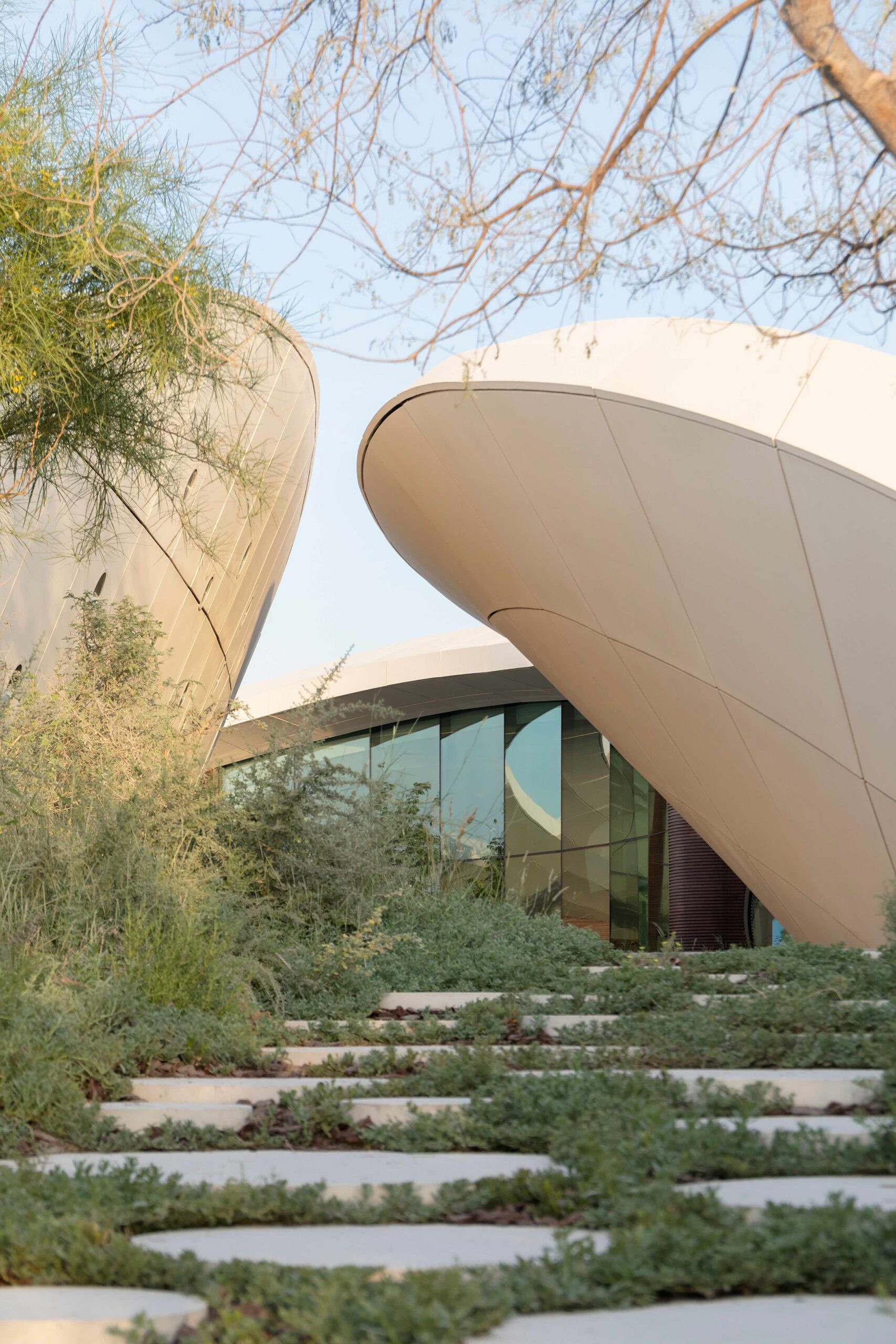 〈ガフ・ウッズ体験センター（Ghaf Woods Experience Centre）〉aoe, STUDIOI