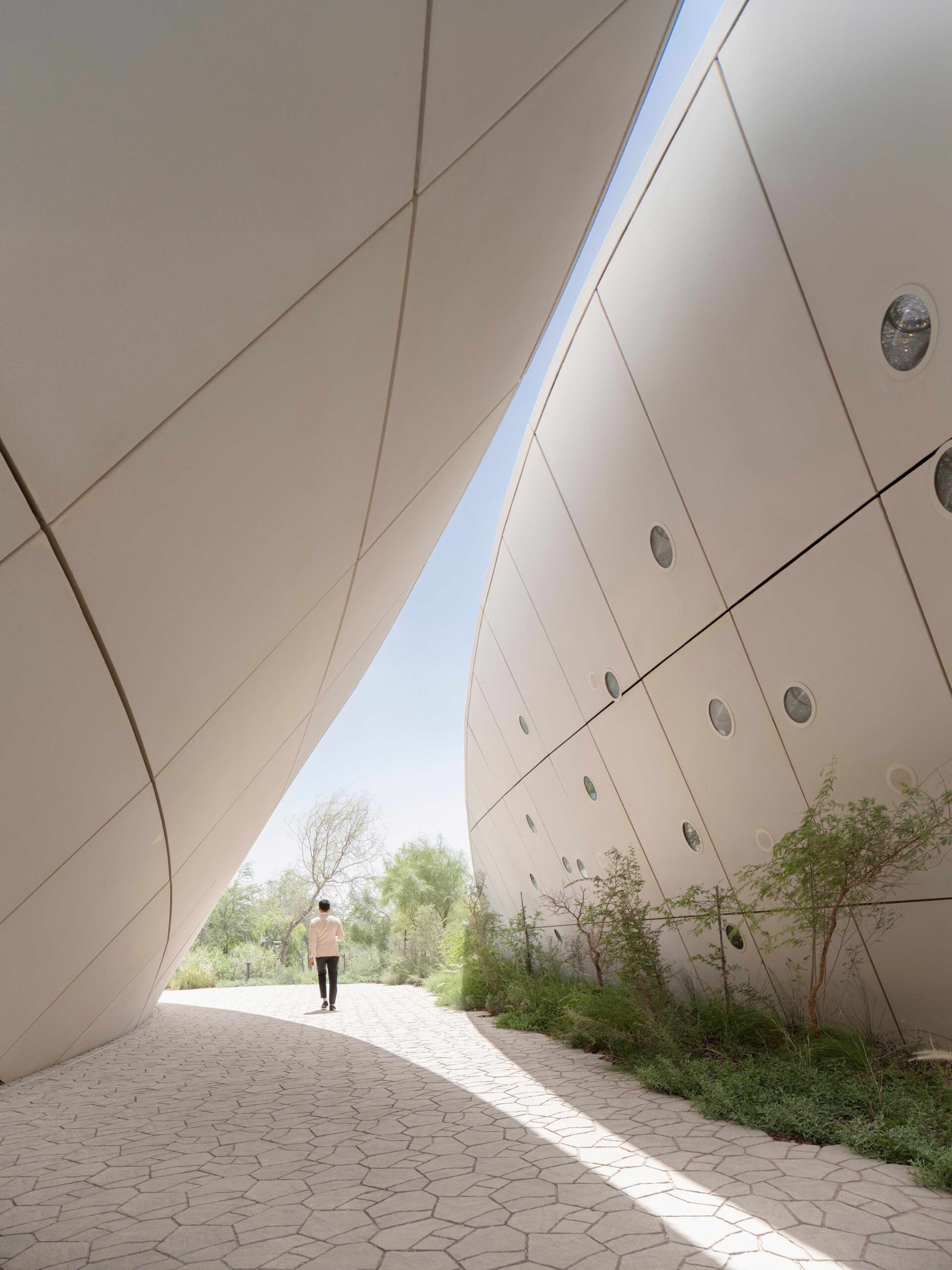 〈ガフ・ウッズ体験センター（Ghaf Woods Experience Centre）〉aoe, STUDIOI