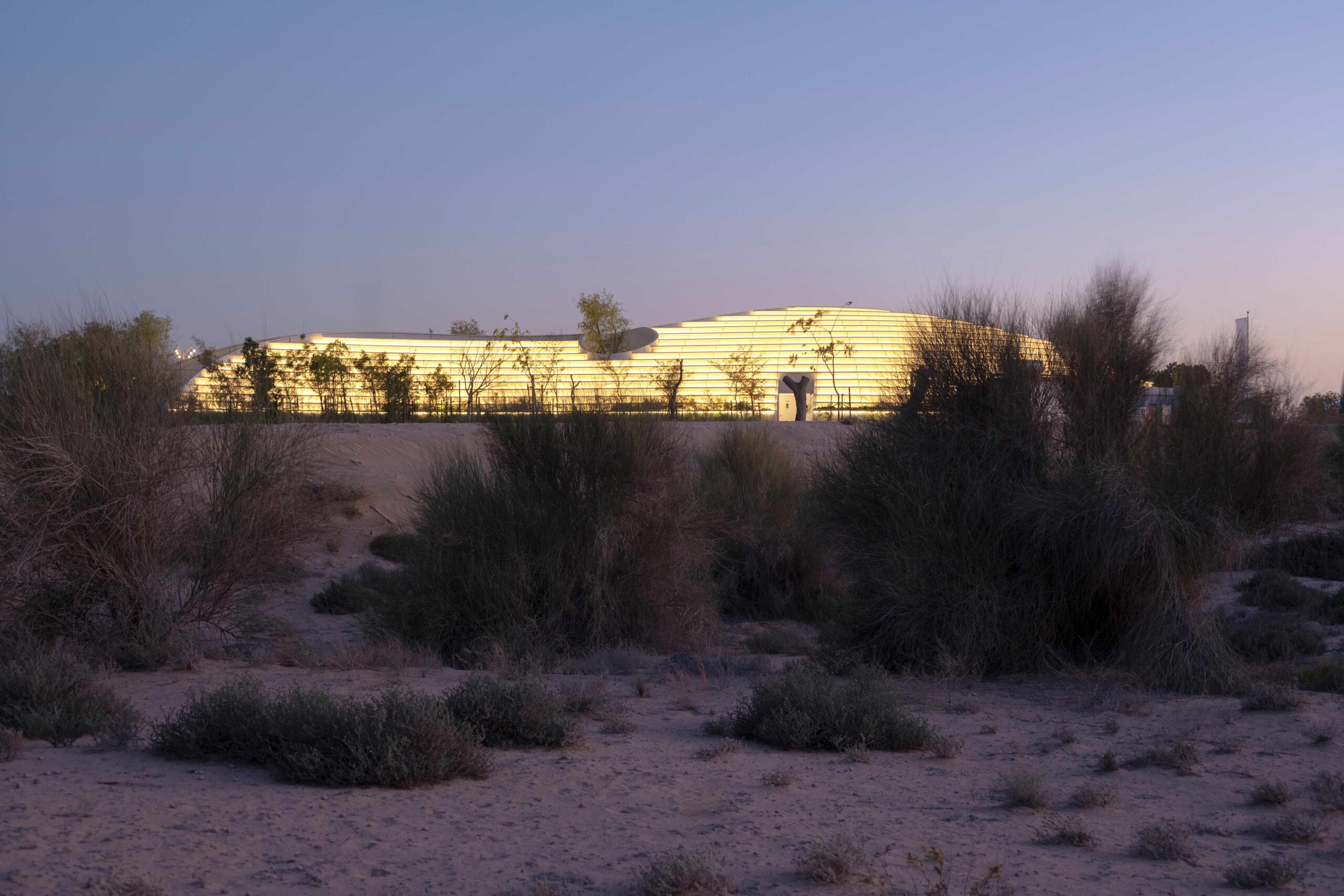 〈ガフ・ウッズ体験センター（Ghaf Woods Experience Centre）〉aoe, STUDIOI