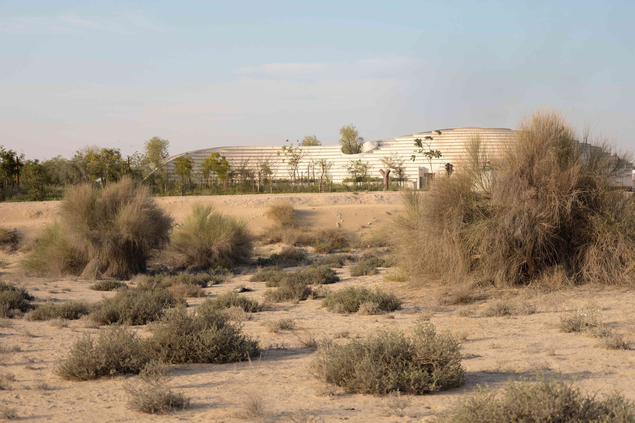 〈ガフ・ウッズ体験センター（Ghaf Woods Experience Centre）〉aoe, STUDIOI