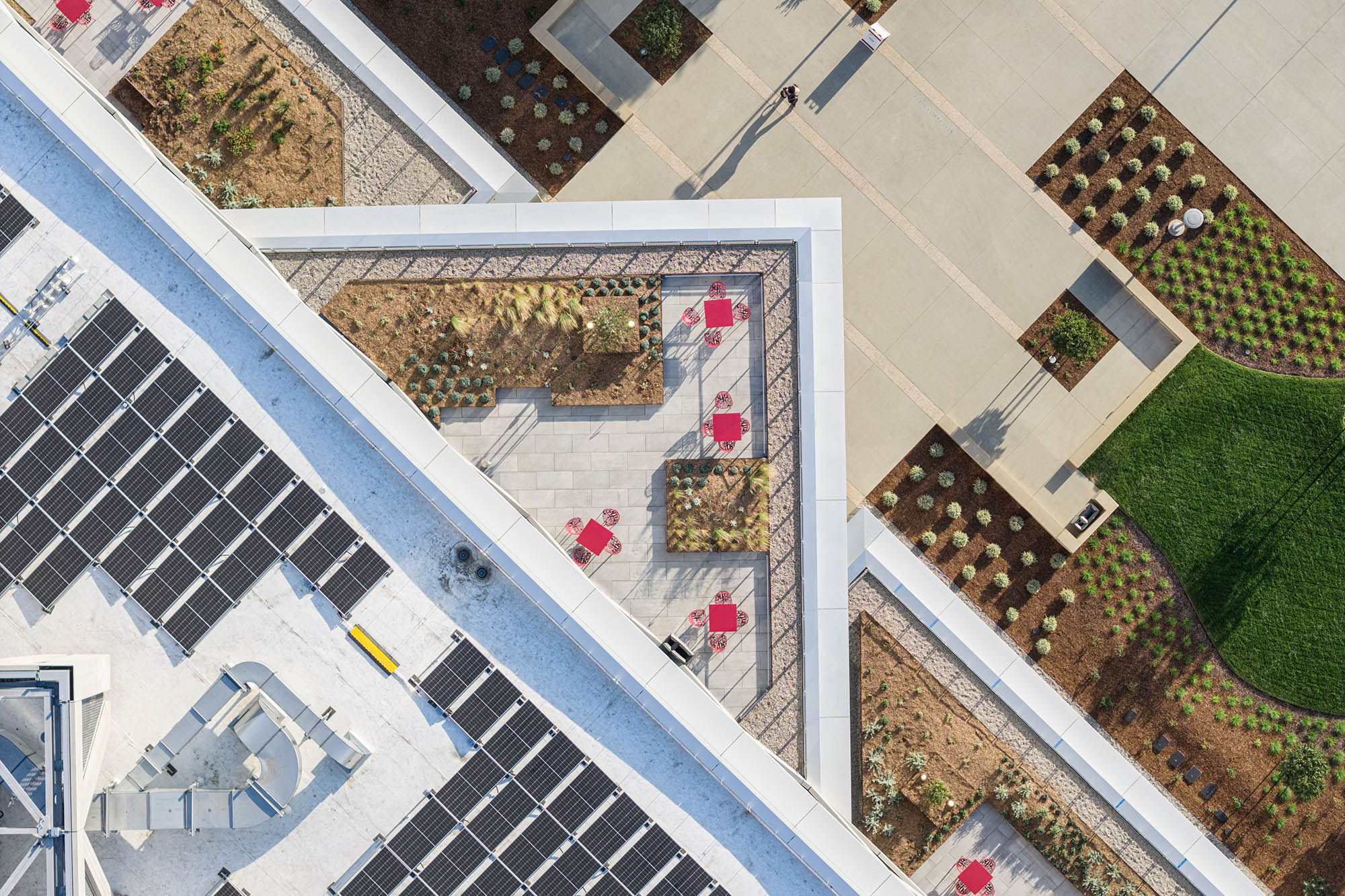 〈ロバート・デイ・サイエンスセンター（Robert Day Sciences Center）〉BIG