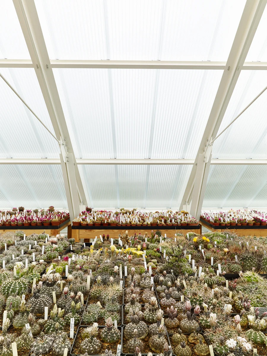 〈Family house with a greenhouse〉RicharDavidArchitekti