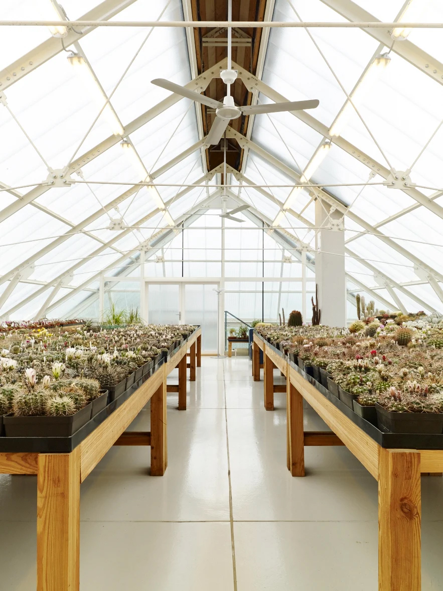 〈Family house with a greenhouse〉RicharDavidArchitekti