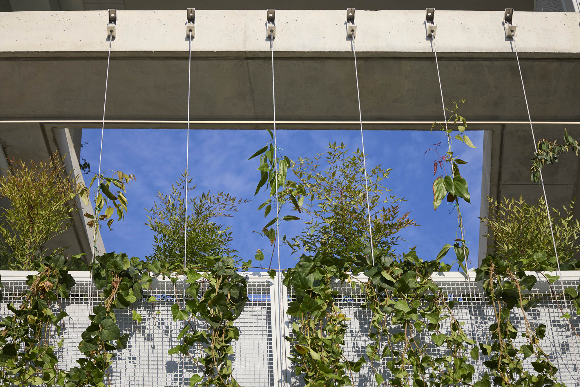 〈ミラノ・コルティナ・オリンピック選手村（Milano Cortina Olympic Village）〉SOM