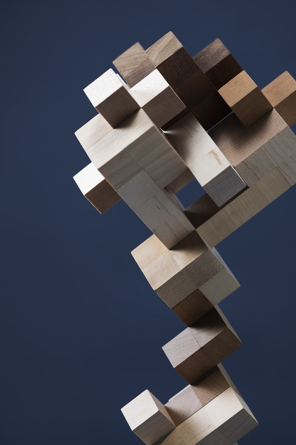 〈CZECH HEDGEHOG STUDIES〉野老朝雄