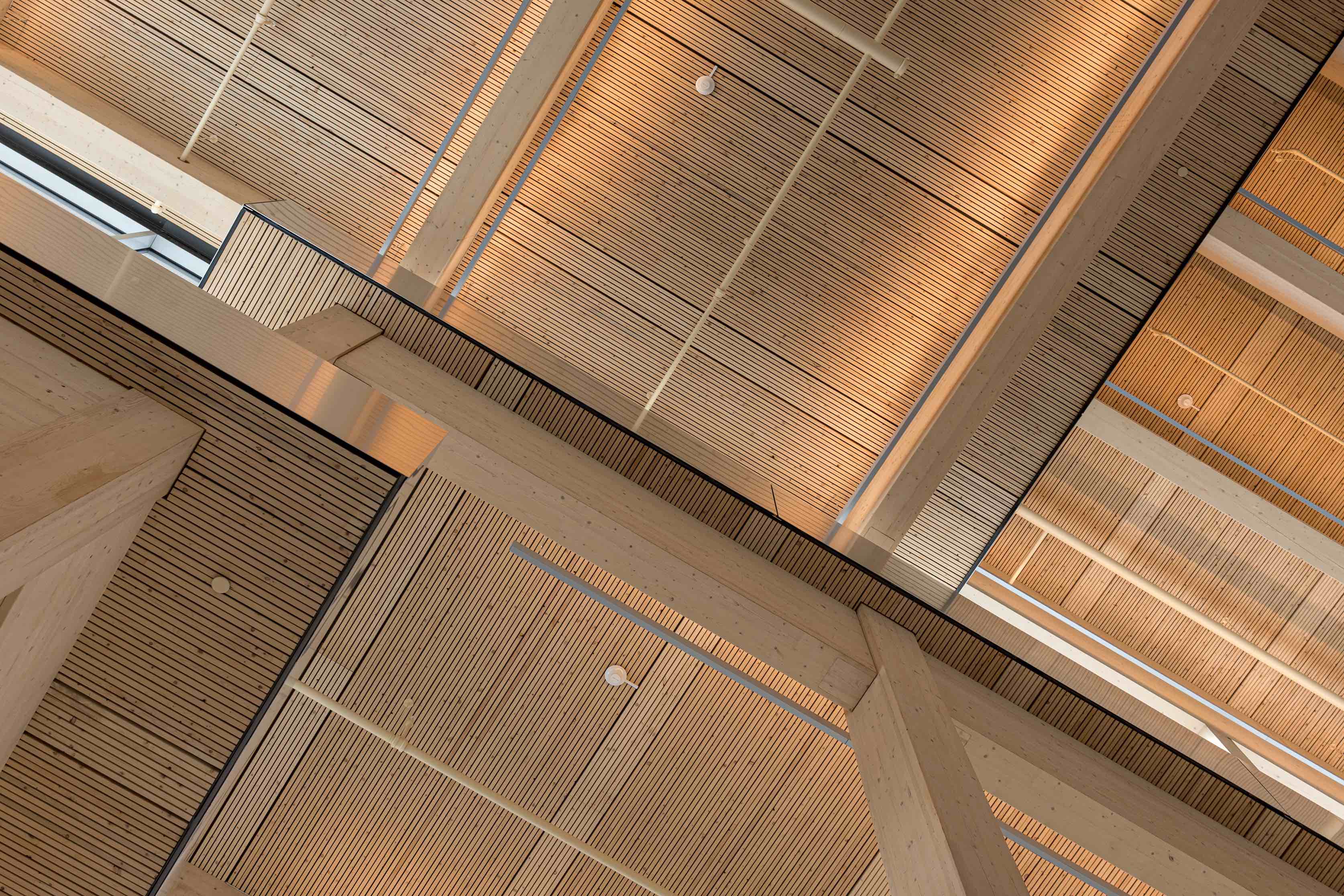 〈ブルームバーグ学生センター(Bloomberg Student Center)〉ビャルケ・インゲルス・グループ(Bjarke Ingels Group、BIG)ロックウェル・グループ(Rockwell Group)