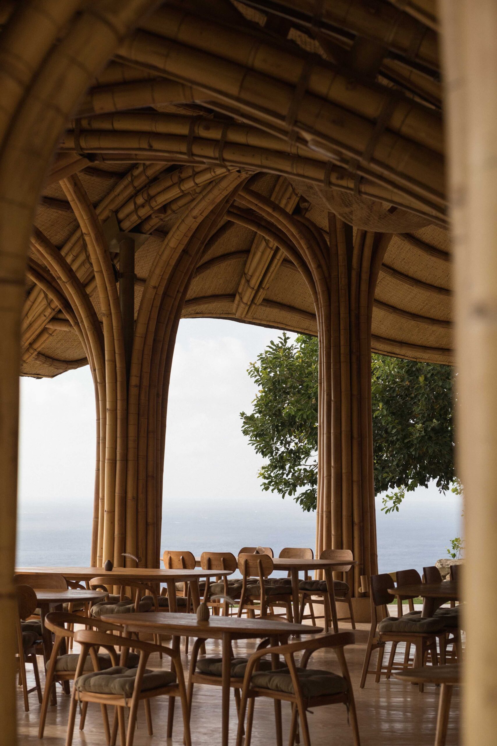 〈シェル・レストラン（Shell Restaurant）〉パブロ・ルナ・スタジオ（Pablo Luna Studio）