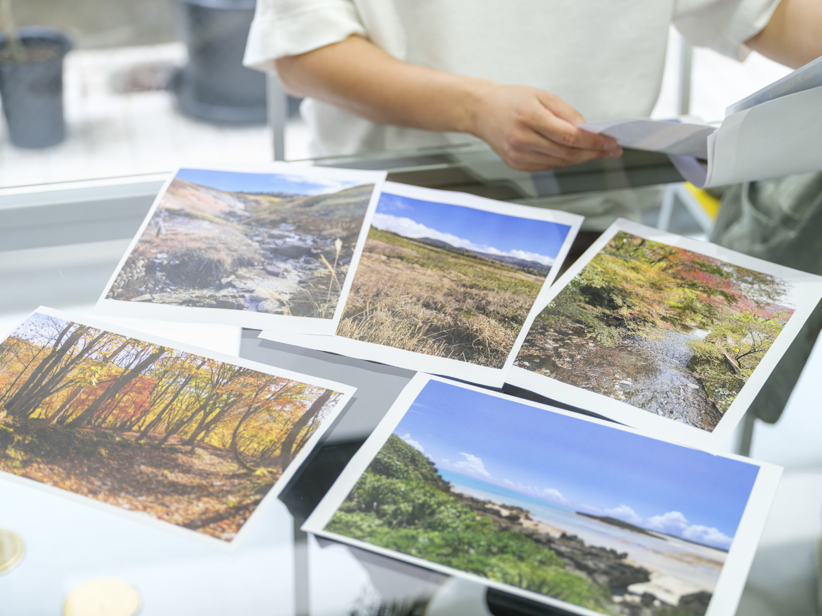 トラオシェアーキテクツ