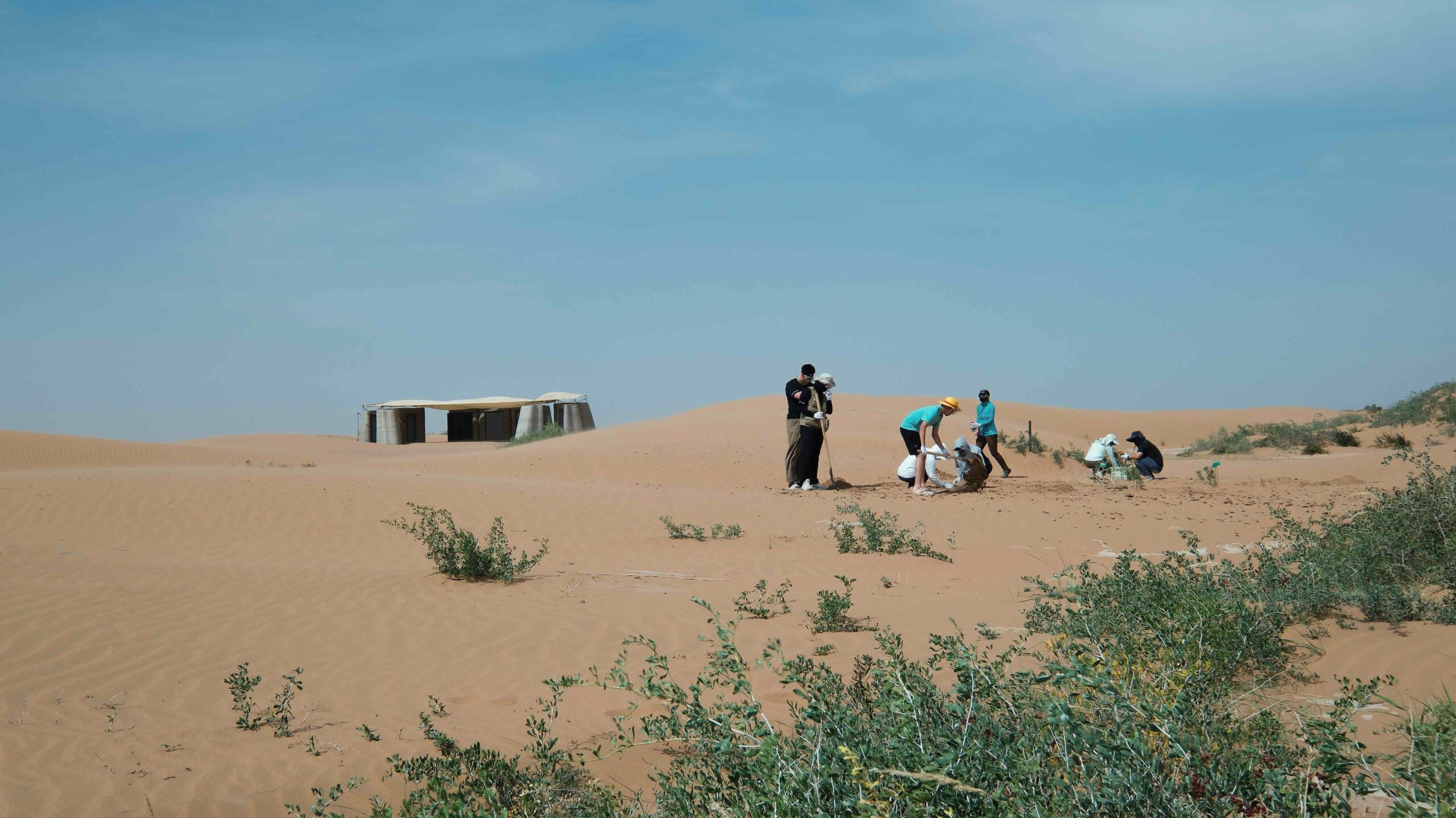 〈デザート・アーク（Desert Ark）〉designRESERVE