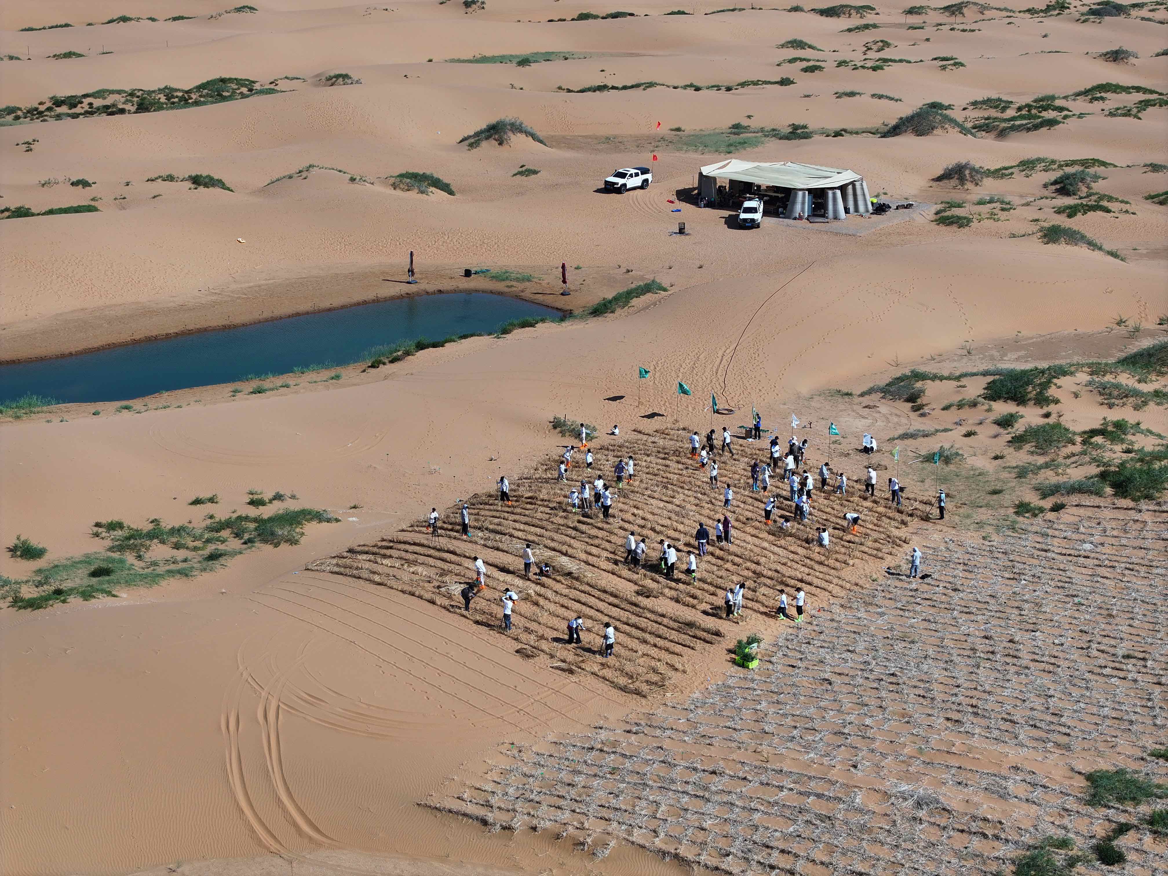 〈デザート・アーク（Desert Ark）〉designRESERVE