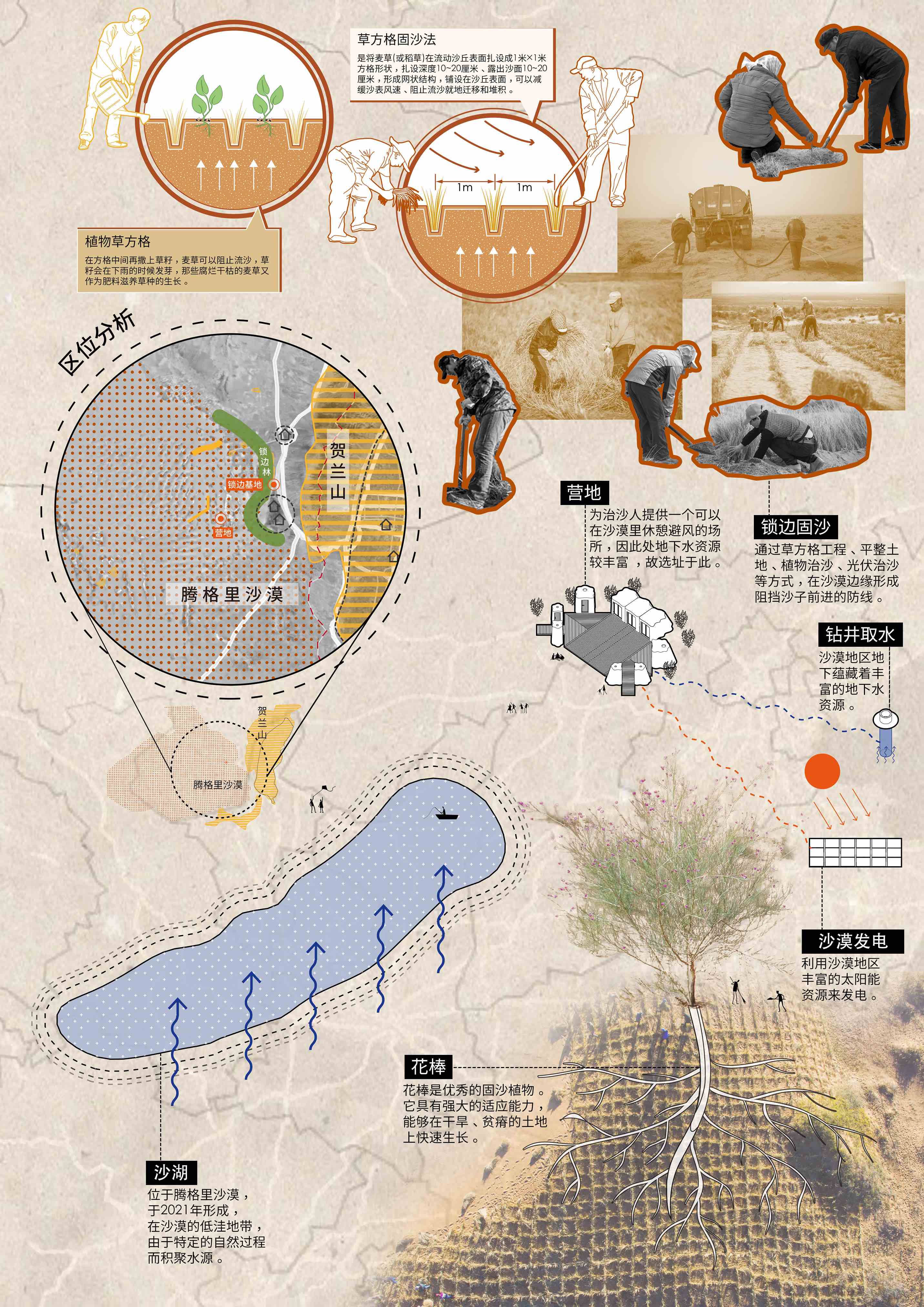 〈デザート・アーク（Desert Ark）〉designRESERVE