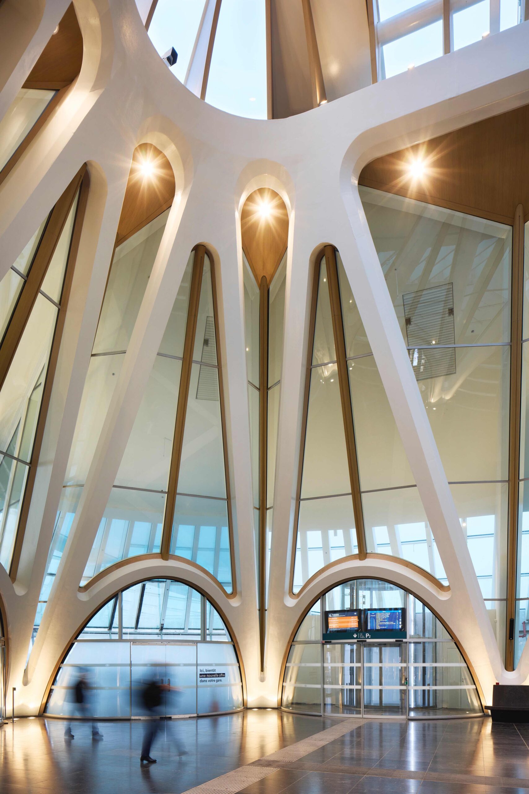 〈モンス駅（Mons Train Station）〉サンティアゴ・カラトラバ（Santiago Calatrava）