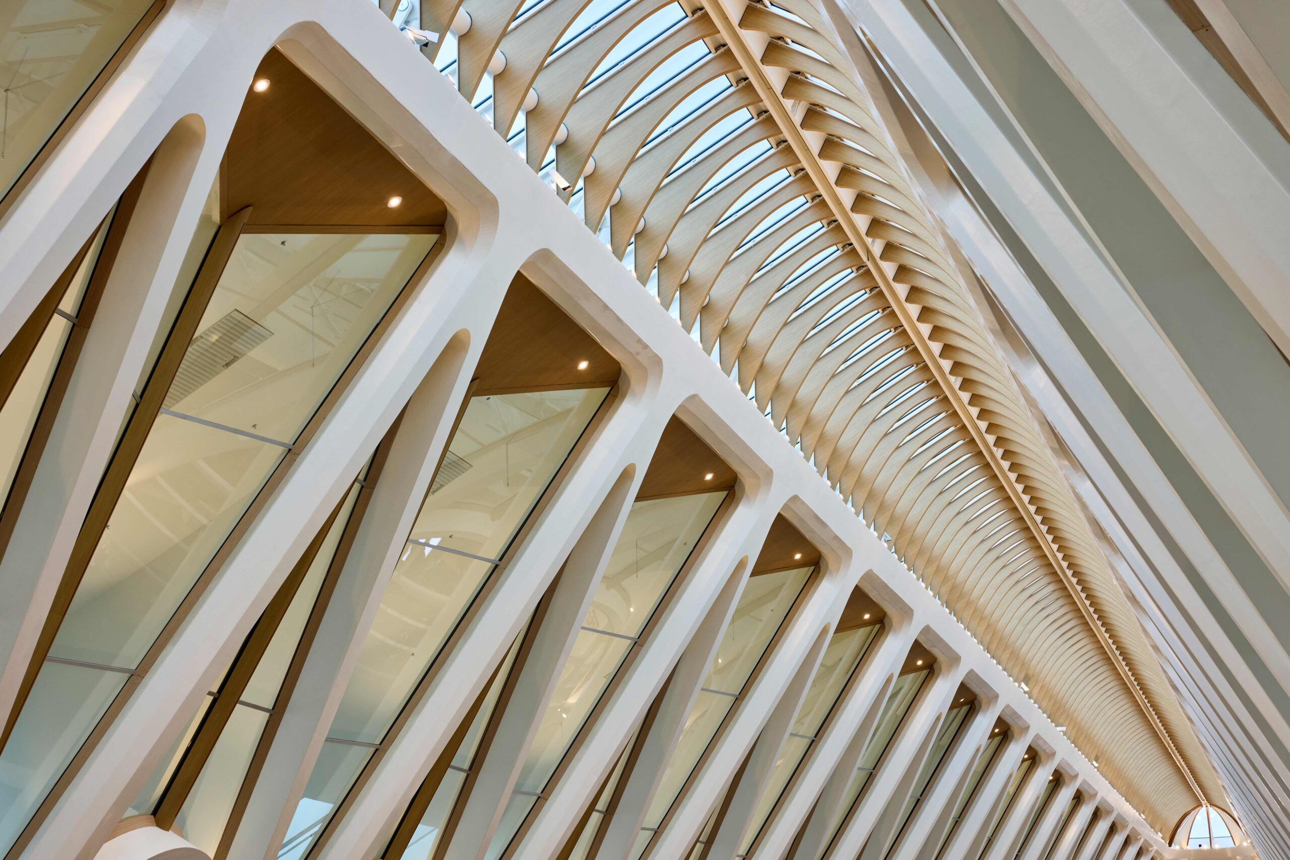 〈モンス駅（Mons Train Station）〉サンティアゴ・カラトラバ（Santiago Calatrava）