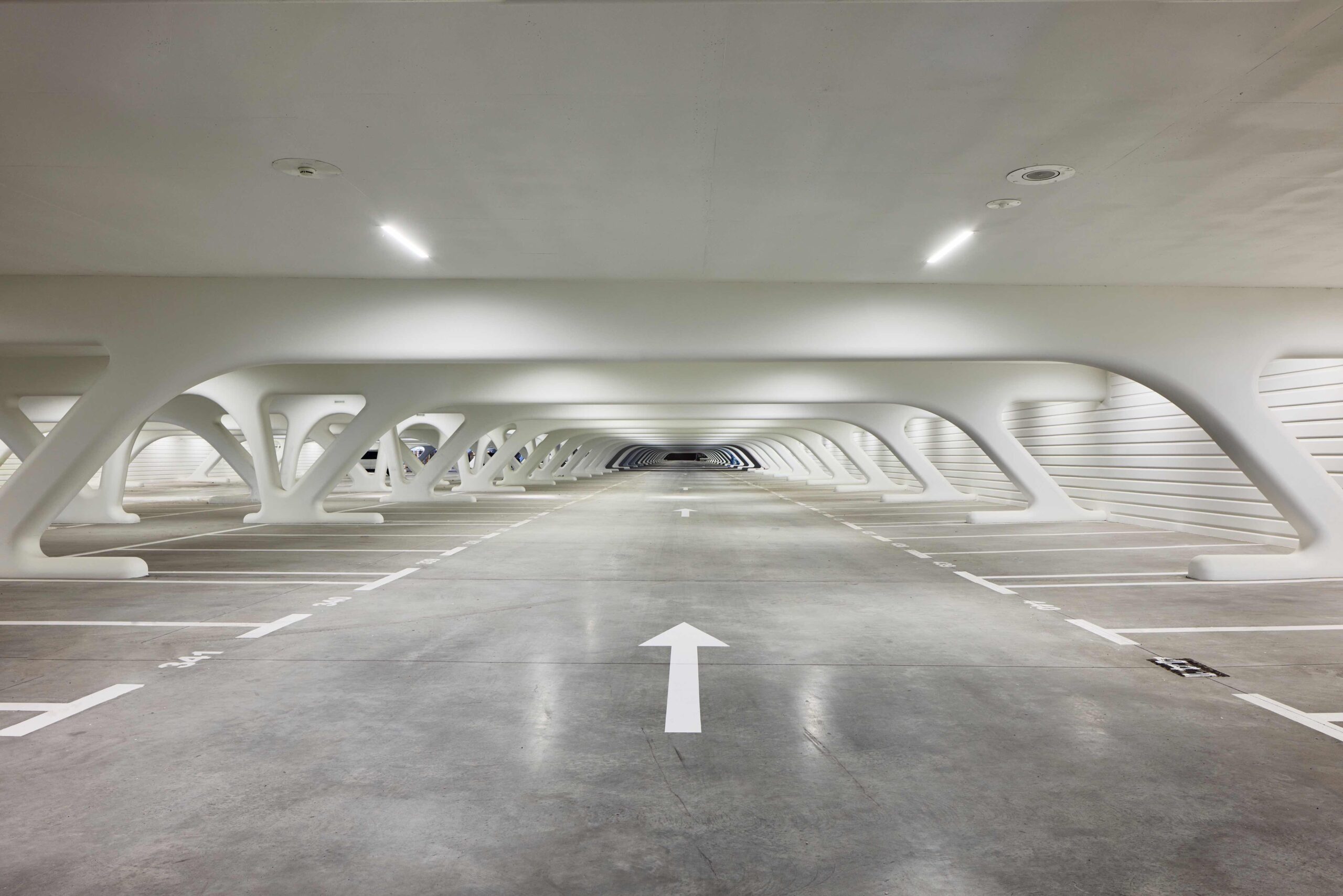 〈モンス駅（Mons Train Station）〉サンティアゴ・カラトラバ（Santiago Calatrava）