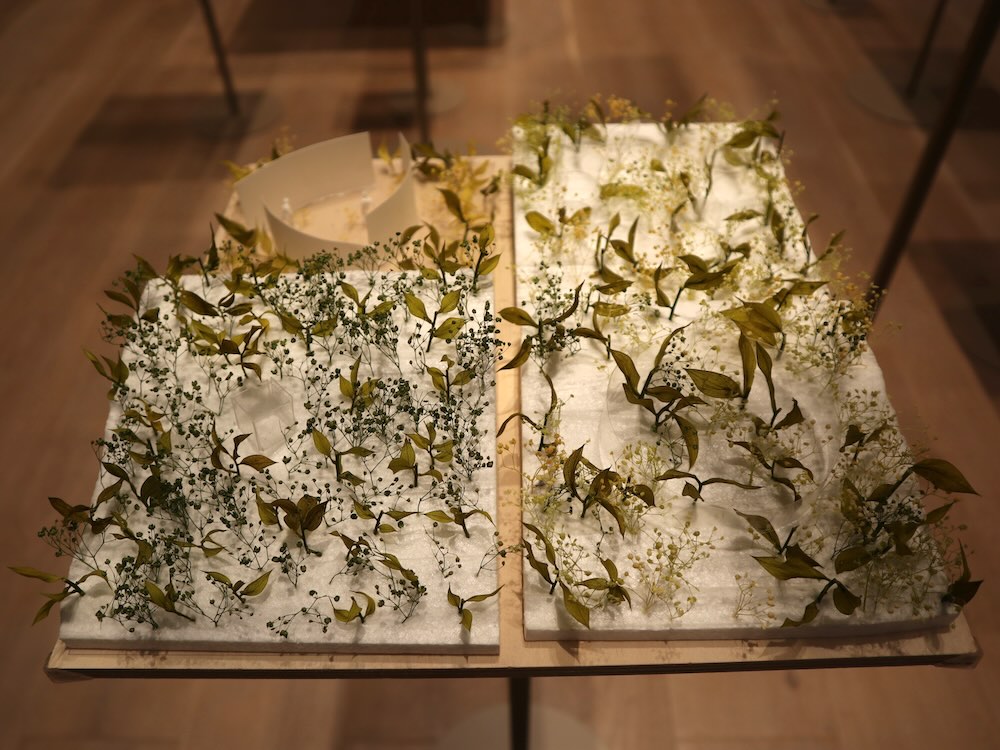 森美術館「藤本壮介の建築：原初・未来・森」展