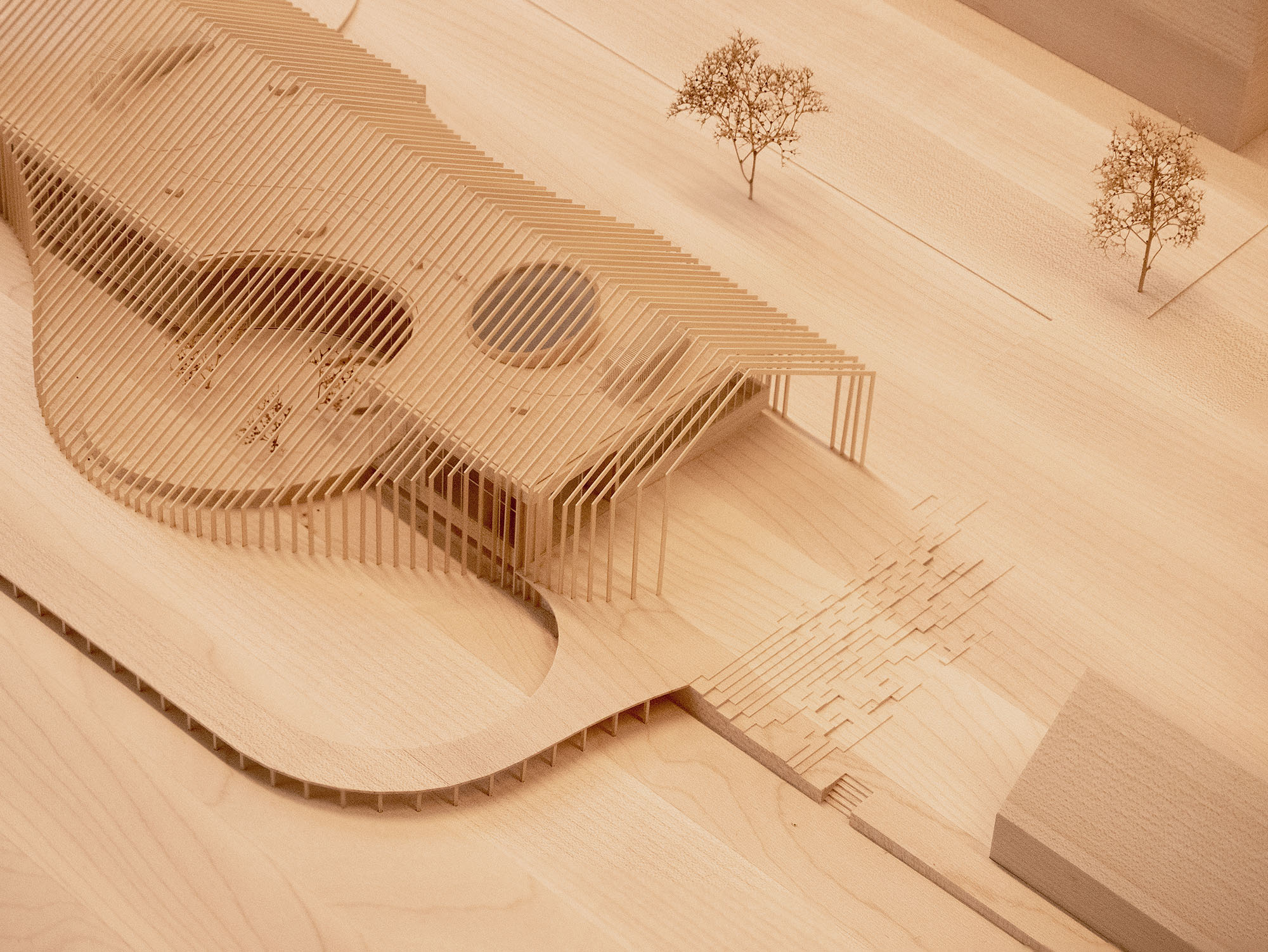 〈エールハルト美術館（Museum Ehrhardt）〉ケレ・アーキテクチャ（Kéré Architecture）