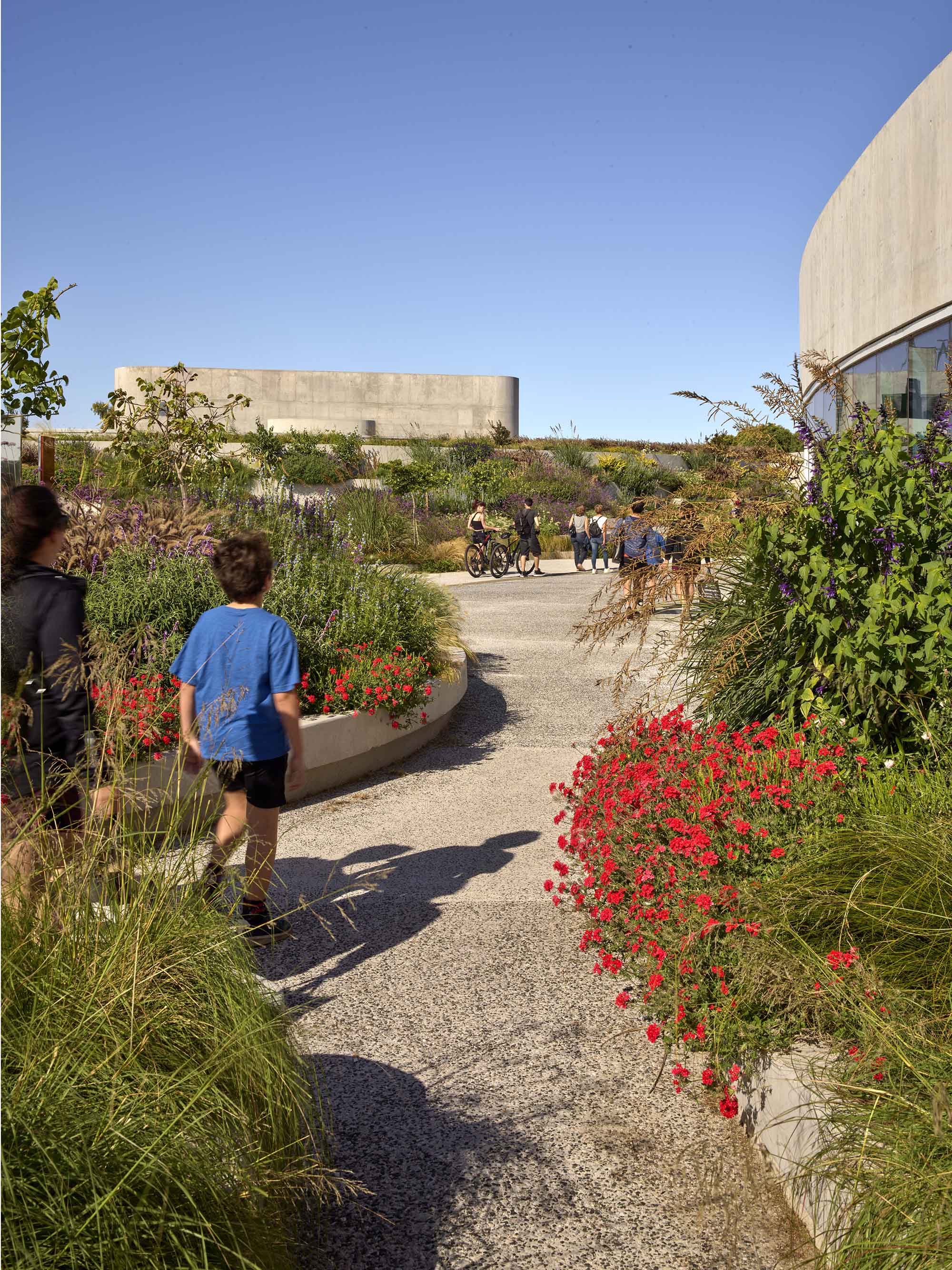 〈OLA Palermo〉ODA