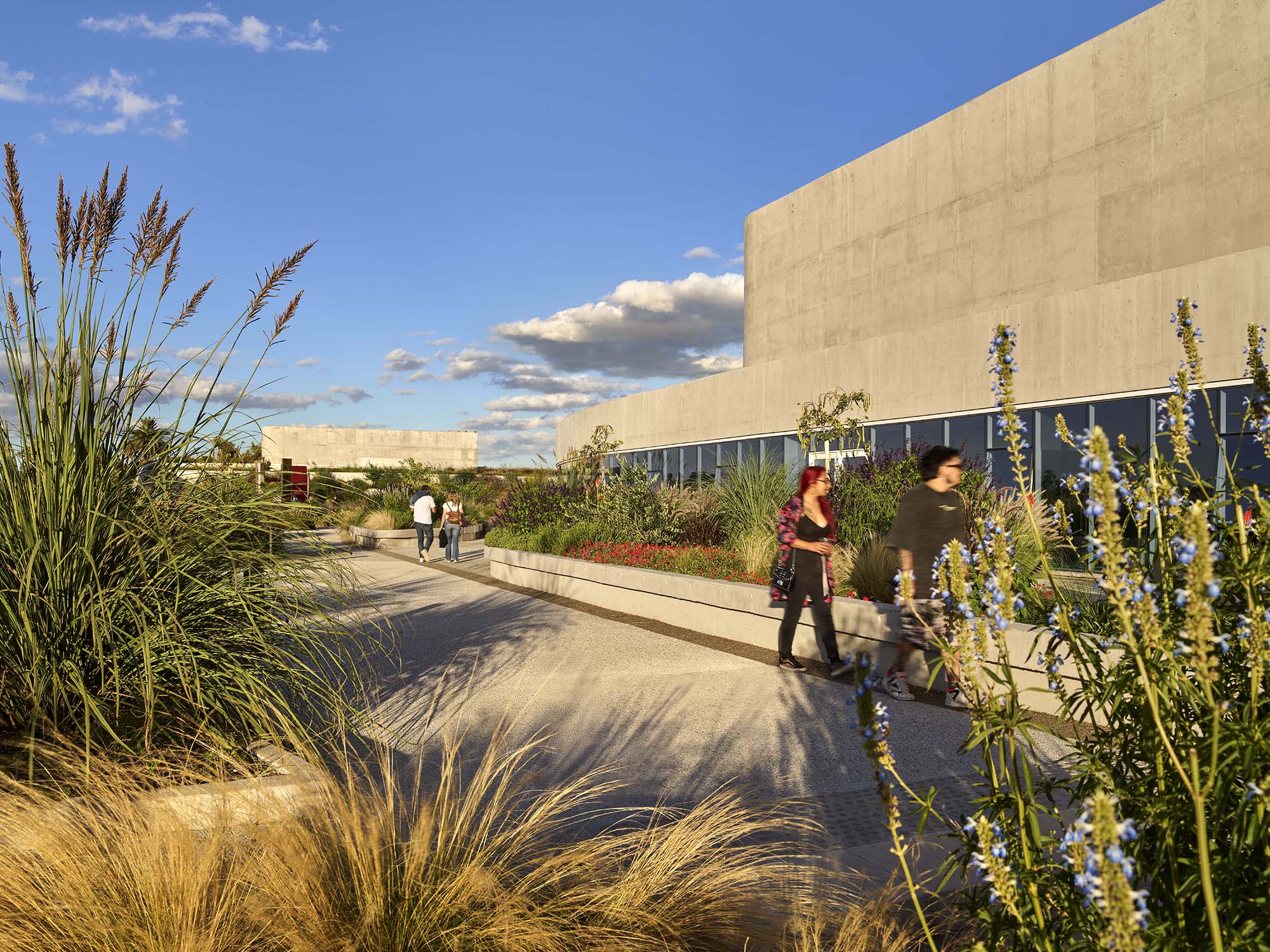 〈OLA Palermo〉ODA