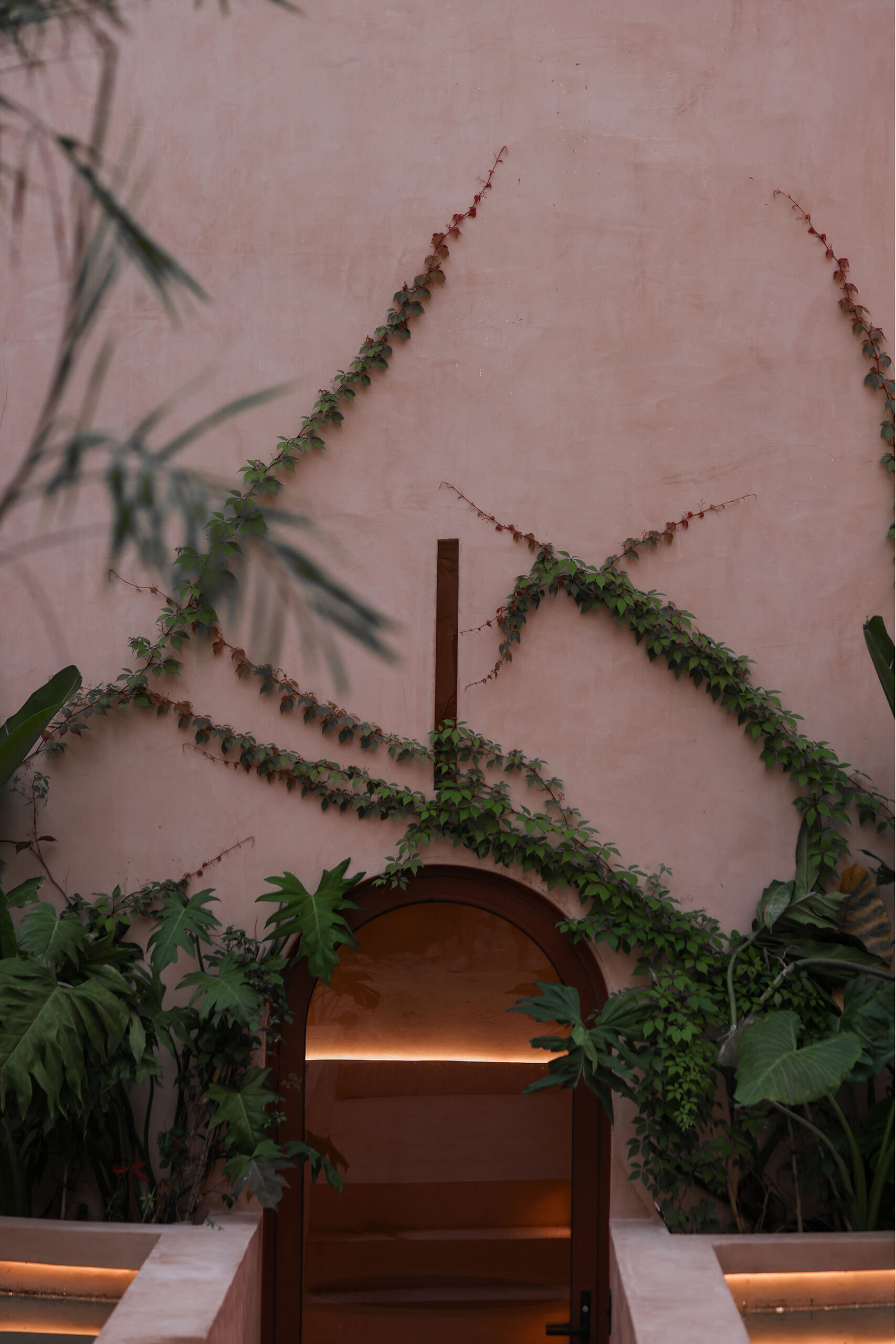 〈バベル（Babel）〉V Taller