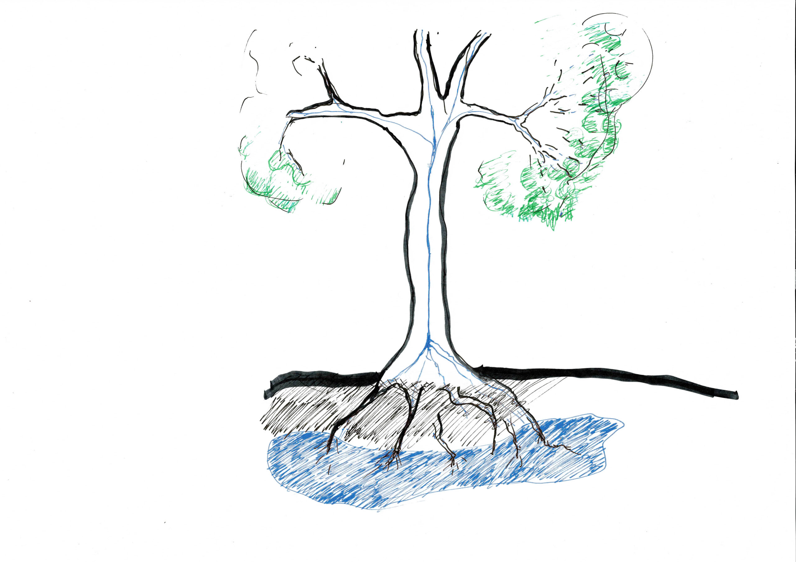 〈ユネスコ・バーチャル・ミュージアム（UNESCO Virtual Museum）〉フランシス・ケレ（Francis Kéré）、ケレ・アーキテクチャ（Kéré Architecture）