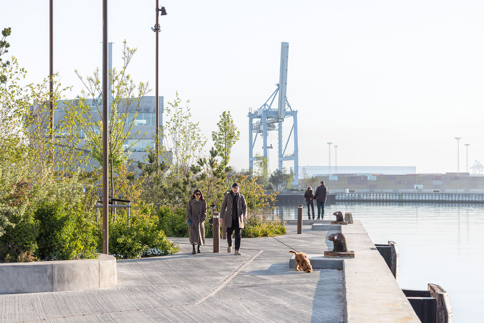 〈ティップ・オブ・ノード（The Tip of Nordø）〉Cobe、ヴィルヘルム・ラウリッツェン・アーキテクツ（Vilhelm Lauritzen Architects）、Third Nature