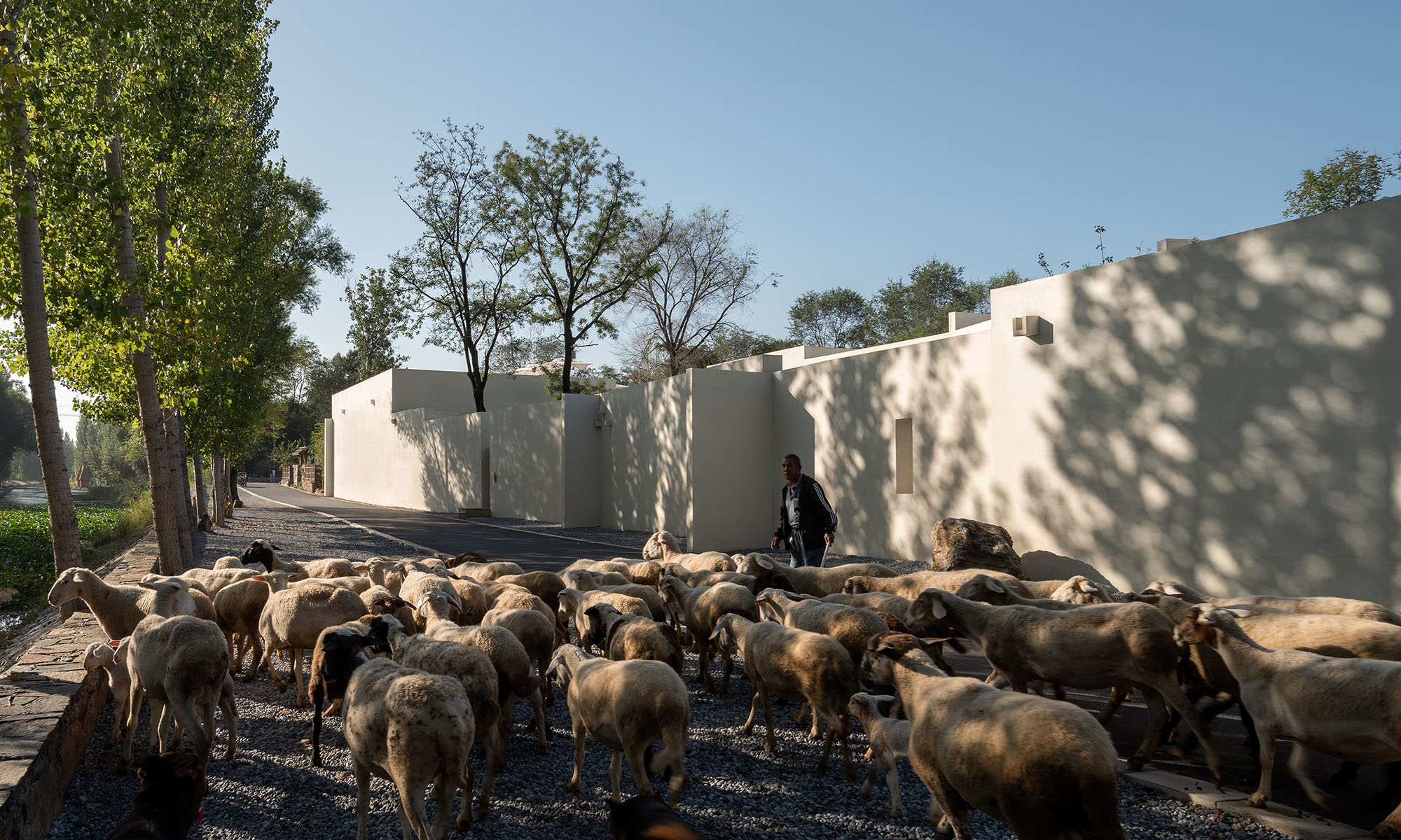 〈ハーミット・リゾート（Hermit Resort）〉Domain Architects