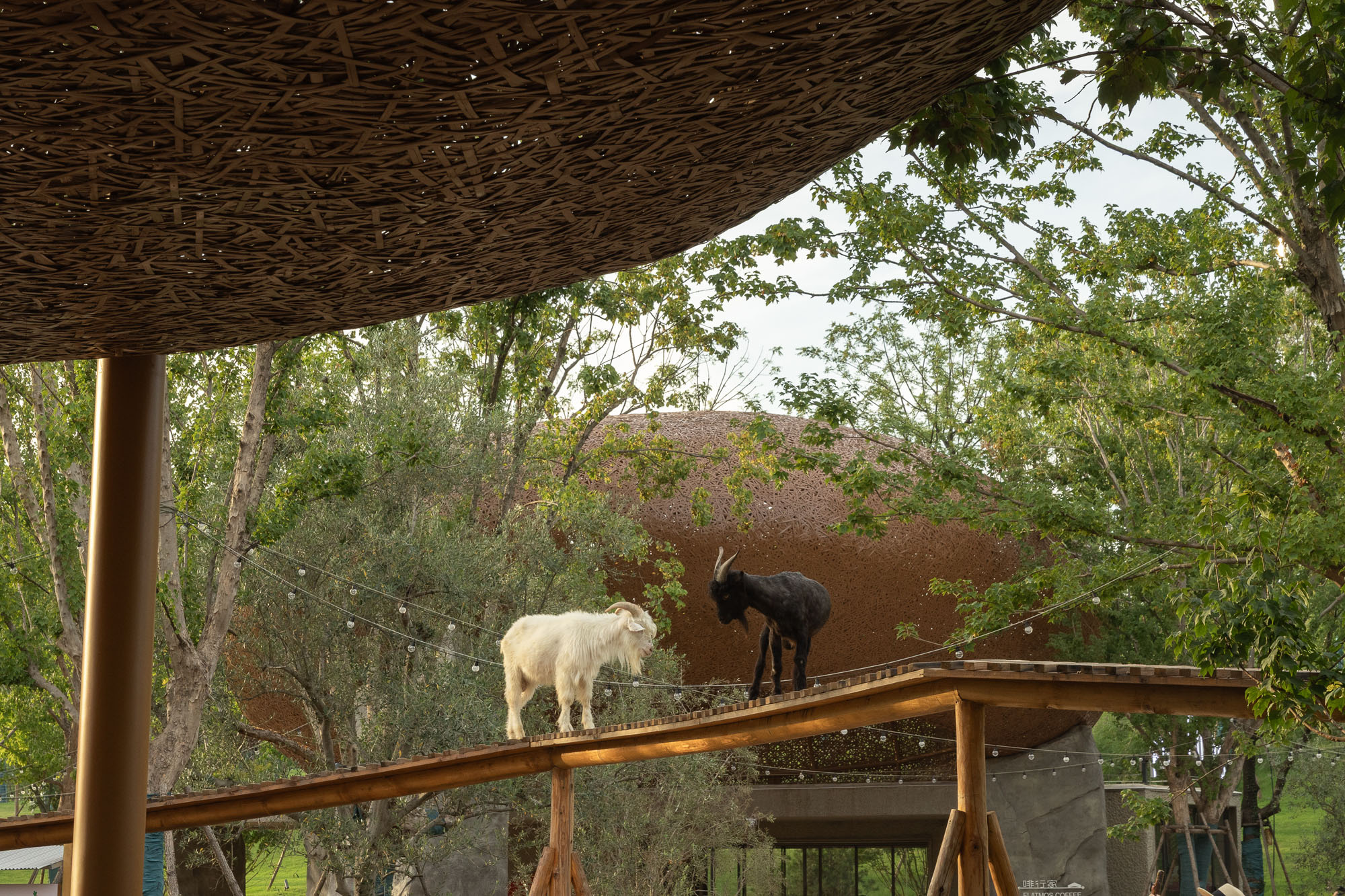 〈LuxeIsland Farm〉ヴァリアス・アソシエイツ(Various Associates)