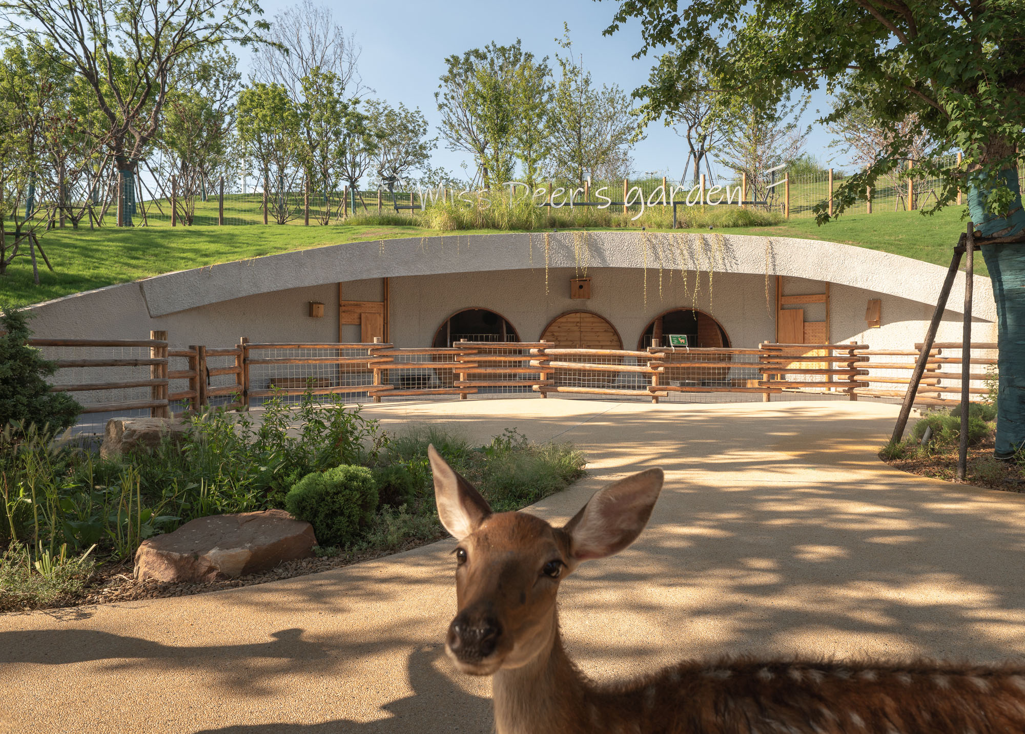 〈LuxeIsland Farm〉ヴァリアス・アソシエイツ(Various Associates)