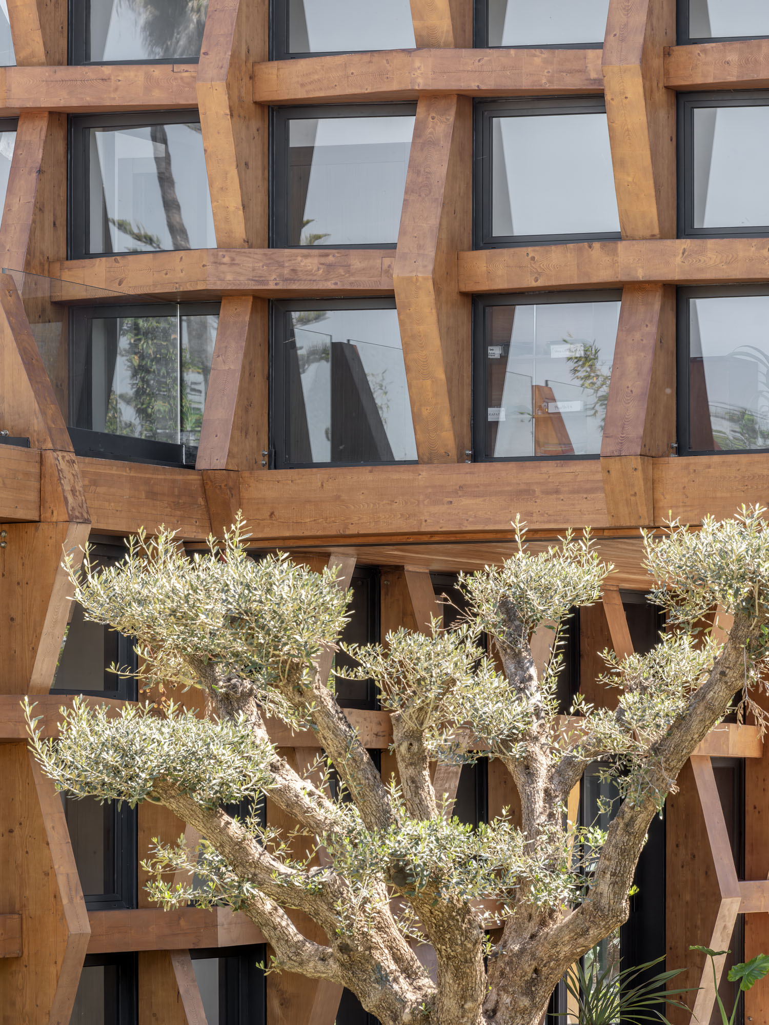 〈タイ王国大使館(Royal Thai Embassy)〉 OUALALOU+CHOI