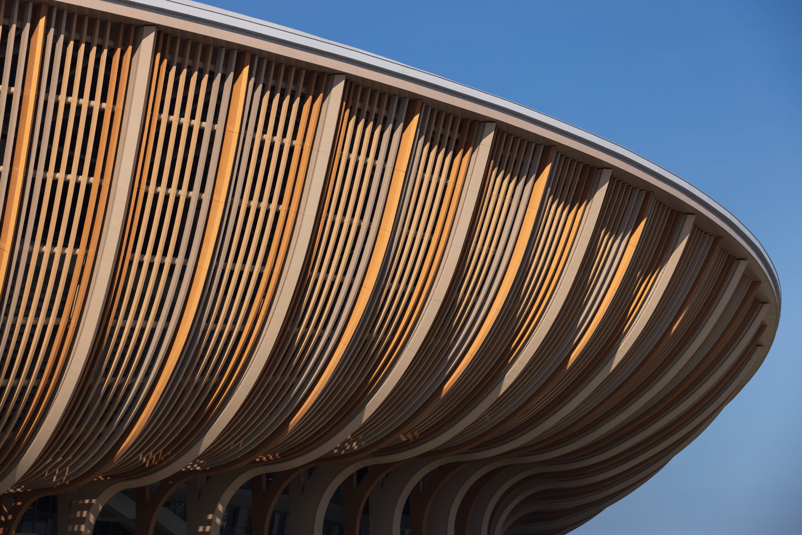 〈グレーターベイエリア・スポーツセンター(Greater Bay Area Sports Centre)〉ザハ・ハディド・アーキテクツ(Zaha Hadid Architects)、広東省建築設計研究院(Guangdong Architectural Design & Research Institute)