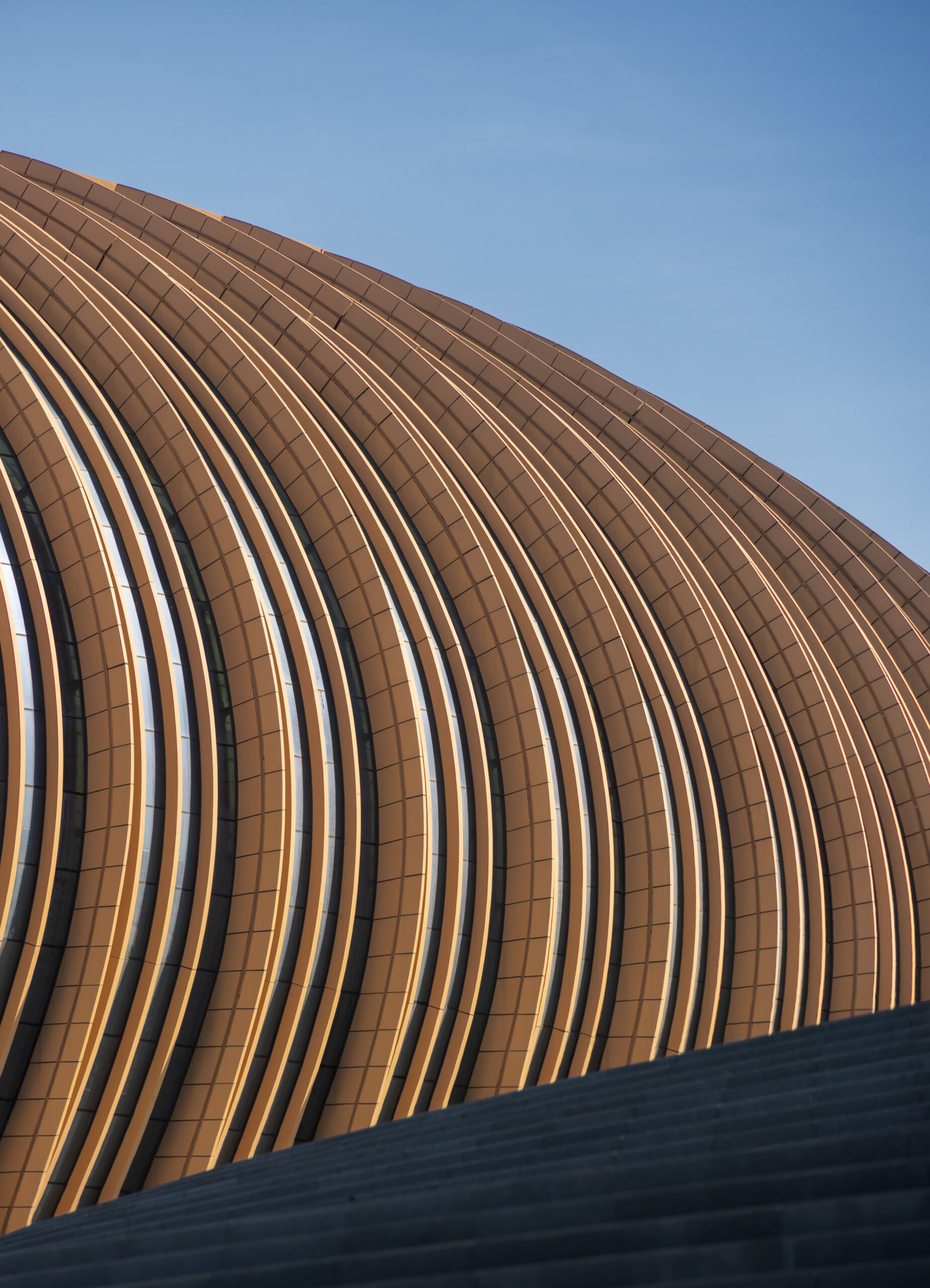 〈グレーターベイエリア・スポーツセンター(Greater Bay Area Sports Centre)〉ザハ・ハディド・アーキテクツ(Zaha Hadid Architects)、広東省建築設計研究院(Guangdong Architectural Design & Research Institute)