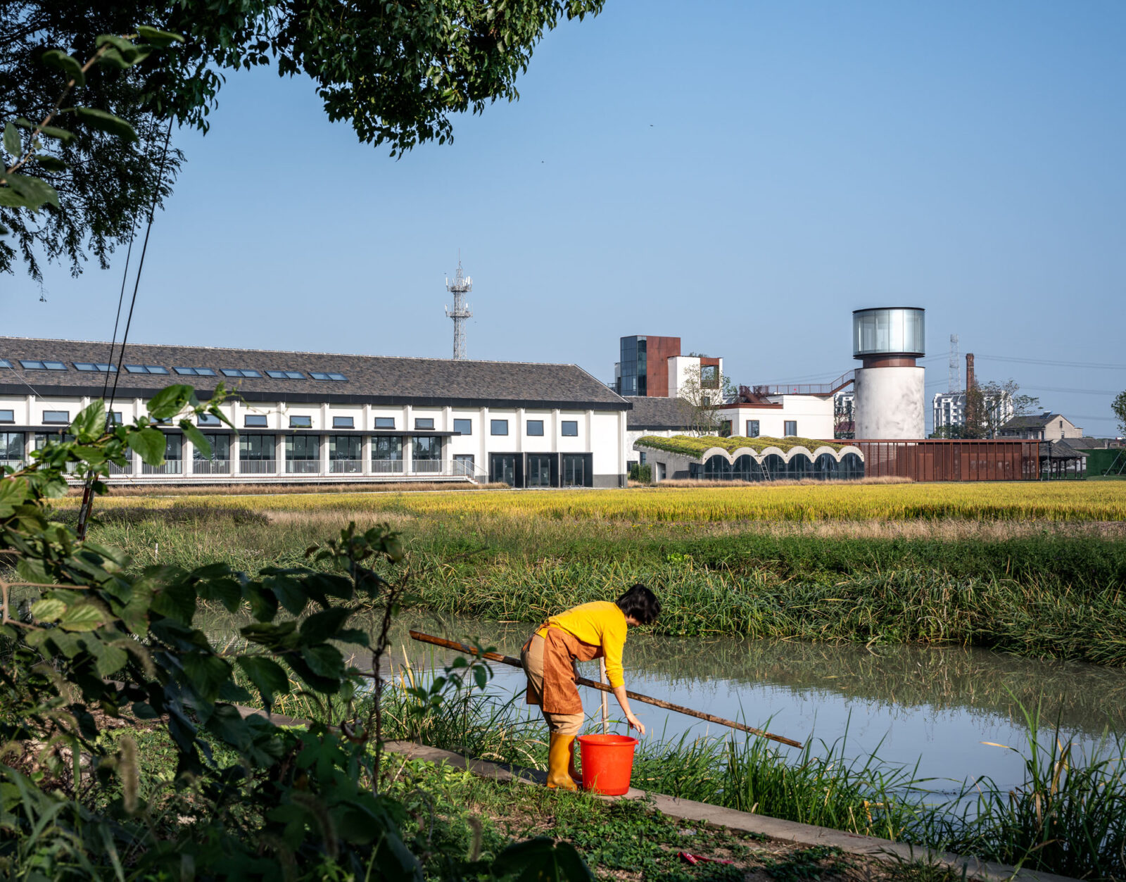 中国の古い村を再生する「ラディカル・リユース」プロジェクト〈RE-Dingzha〉MLA+、line+ studio