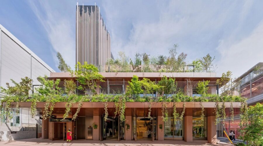 GREEN TERRACE 表参道 / ツチヤタケシ建築事務所