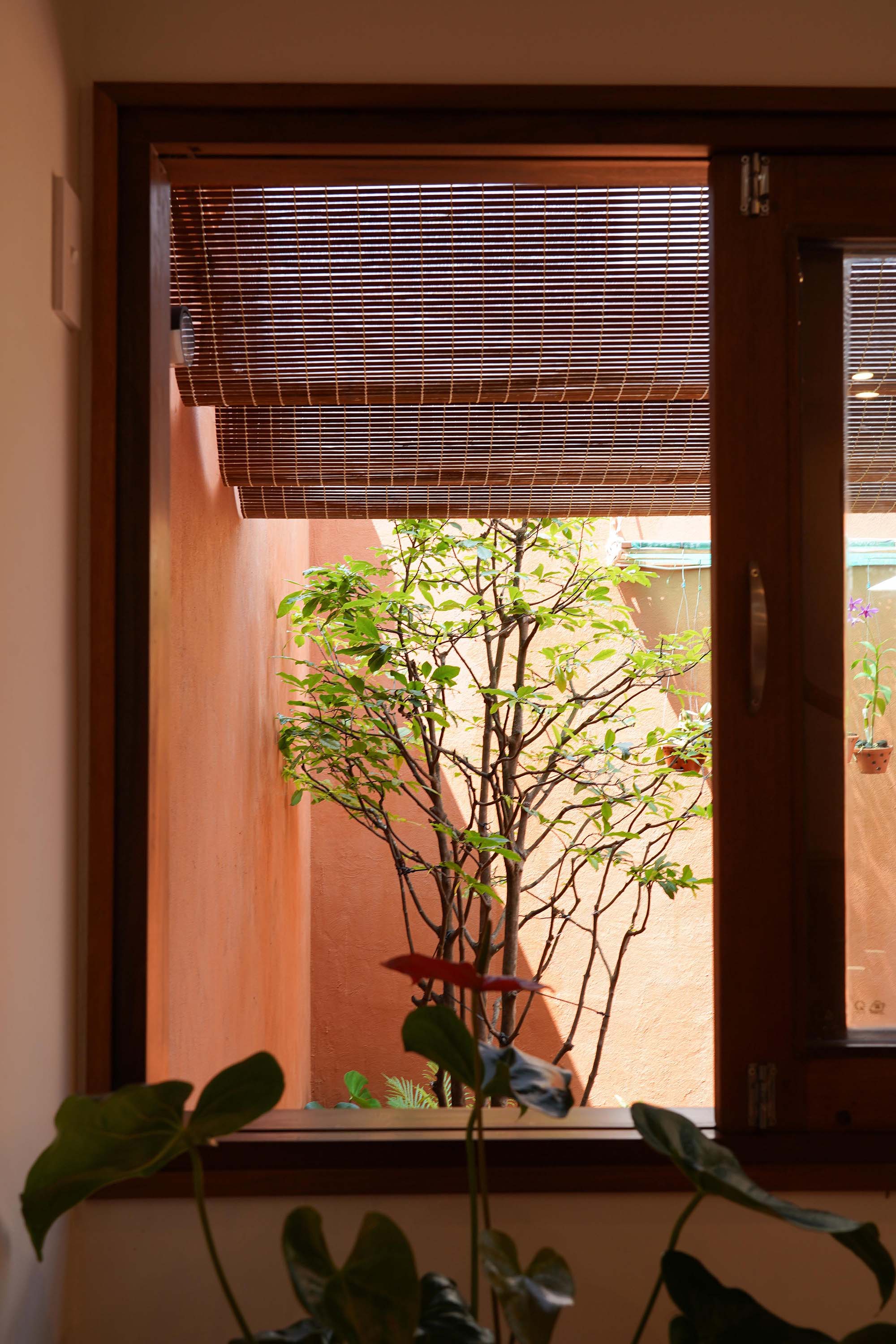 〈テラコッタ・ブレス（Terracotta Breath）〉ライブアウトスタジオ（live out studio）